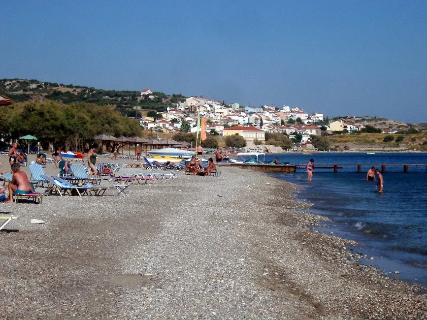 IMGP3239.jpg