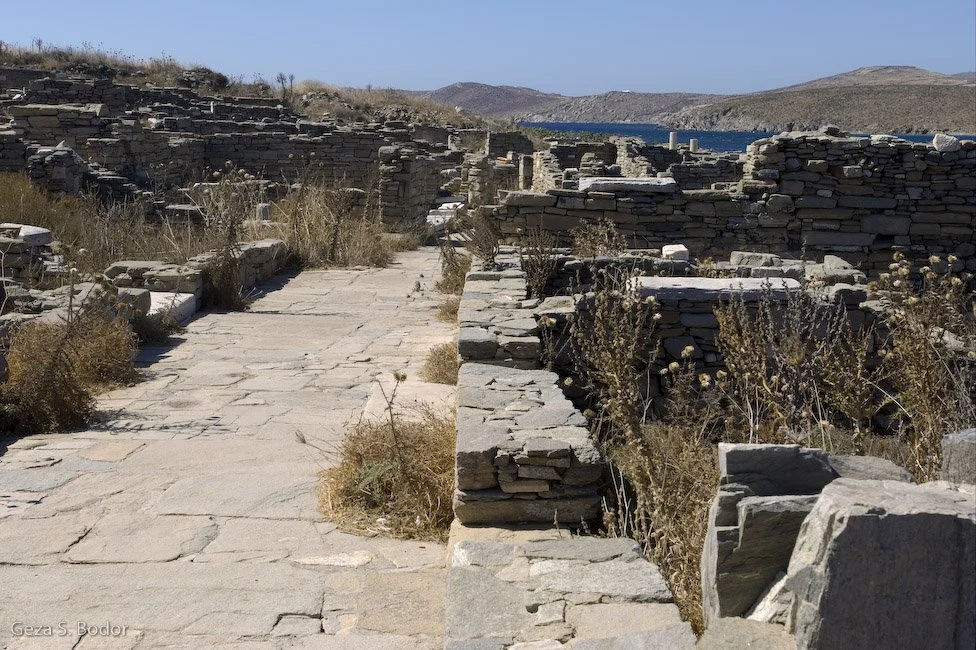 Athena_DSC0841.jpg