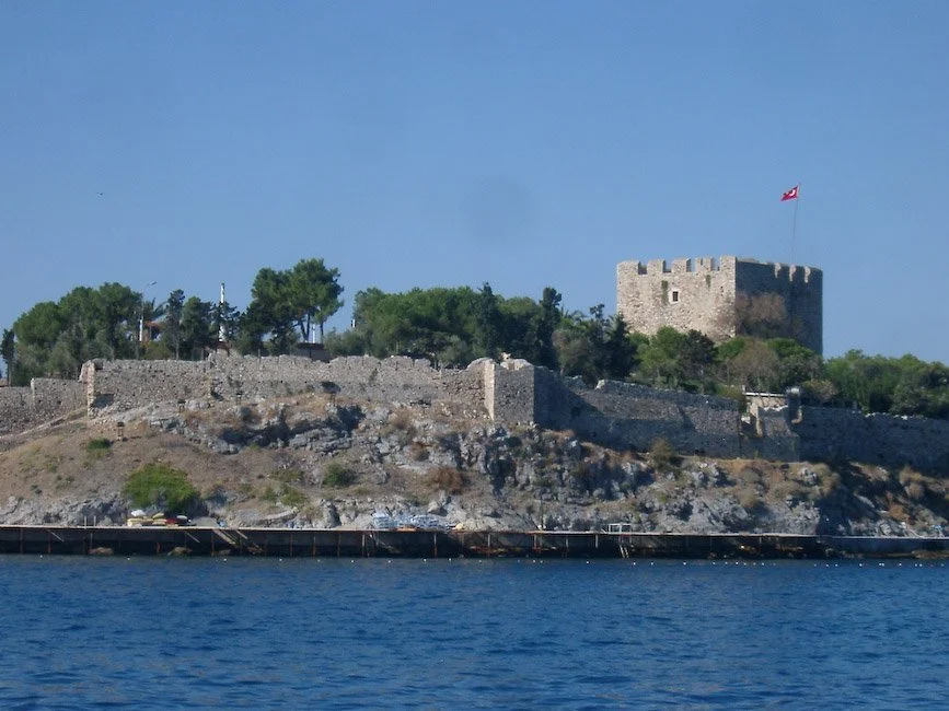 IMGP3294.jpg