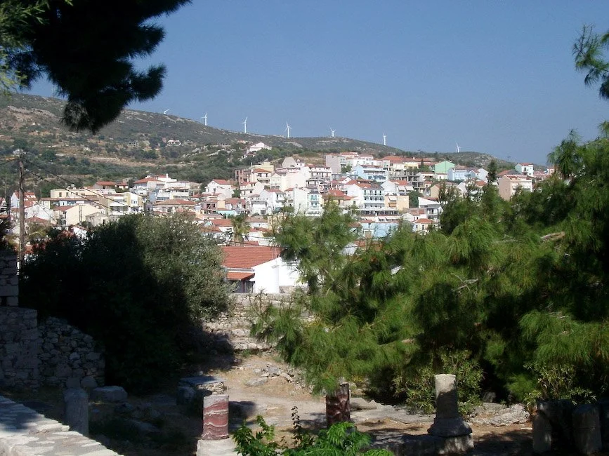 IMGP3592.jpg