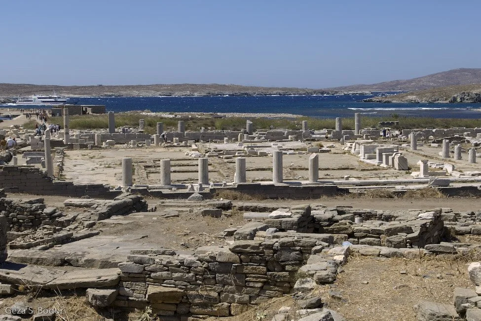 Athena_DSC0877.jpg
