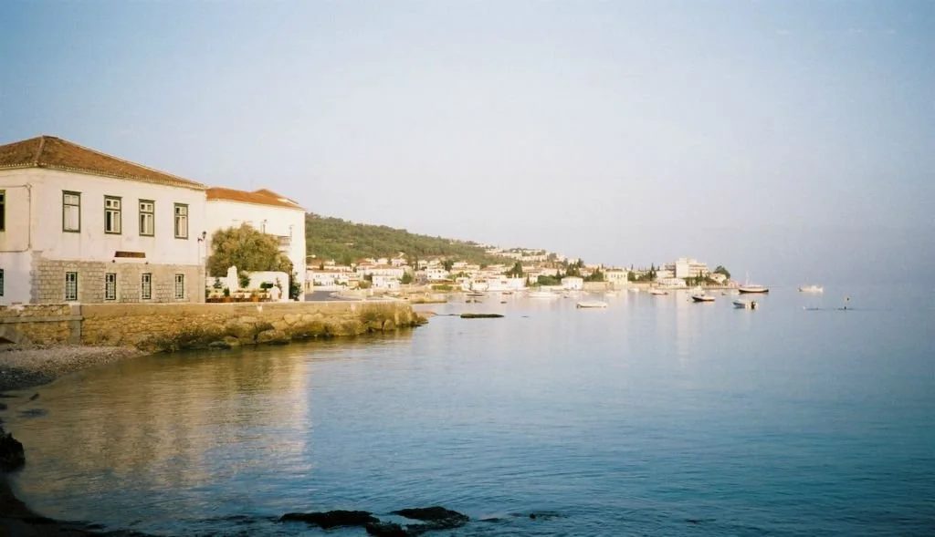 F1010012.jpg