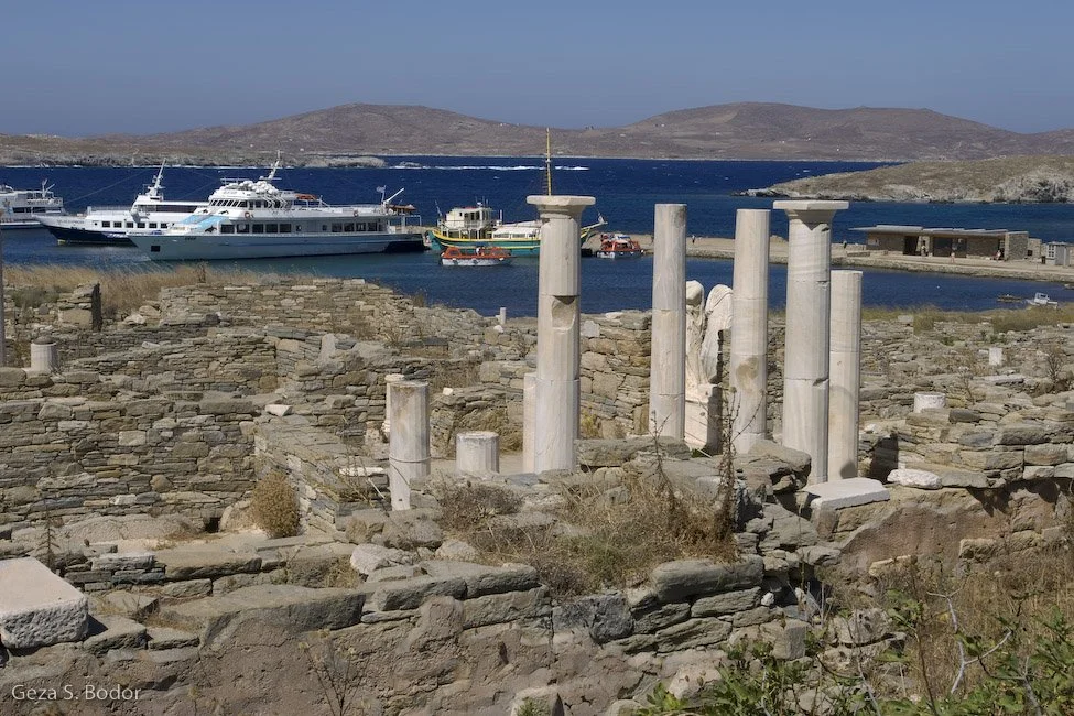 Athena_DSC0848.jpg