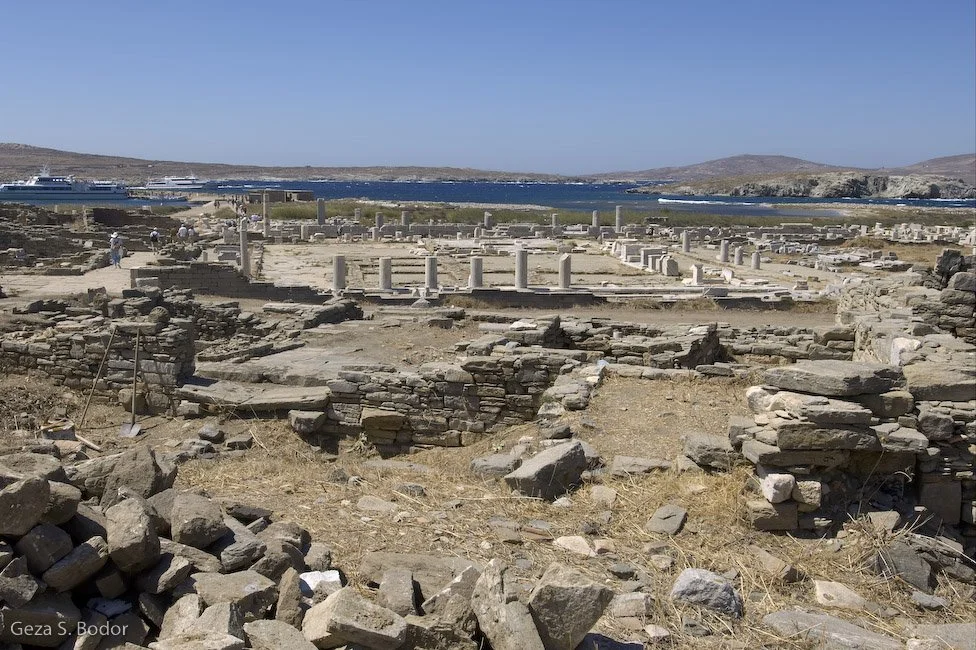 Athena_DSC0876.jpg