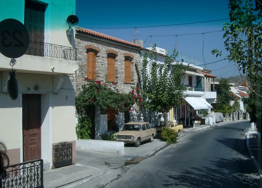 IMGP3499.jpg