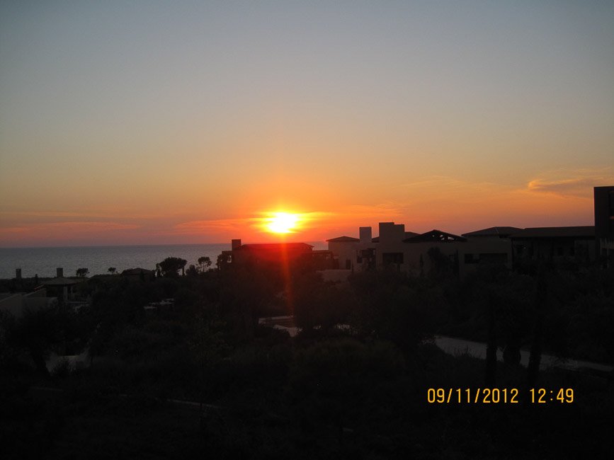 IMG_3918.jpg