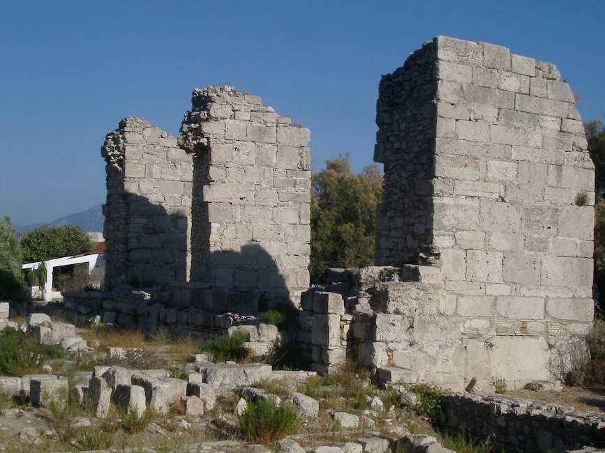 IMGP3247.jpg