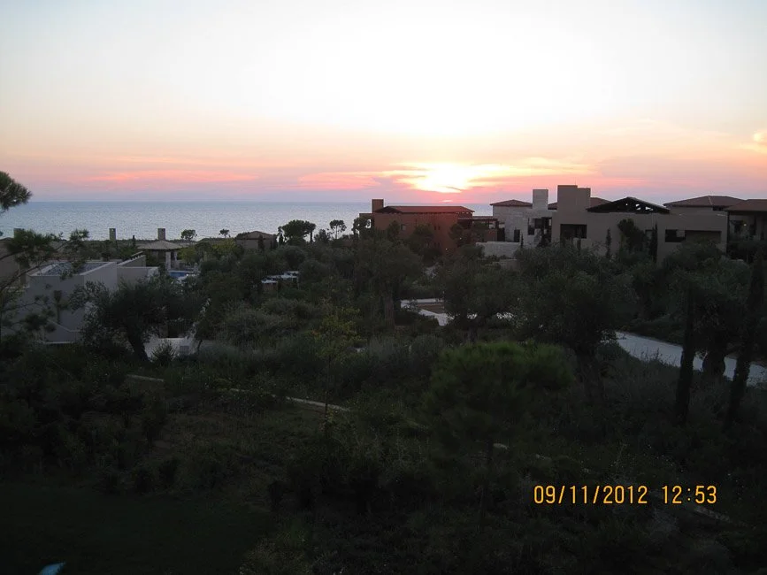IMG_3921.jpg