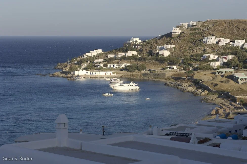 Athena_DSC1080.jpg