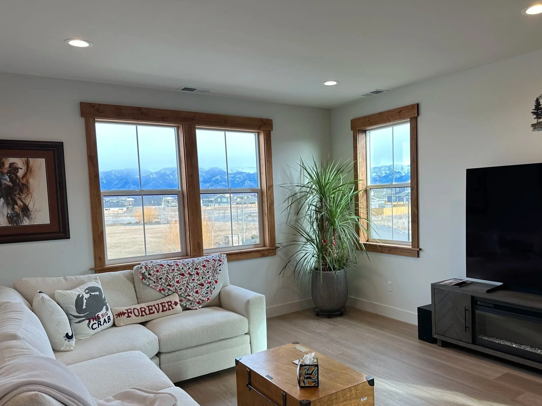 Jamb and Case Windows