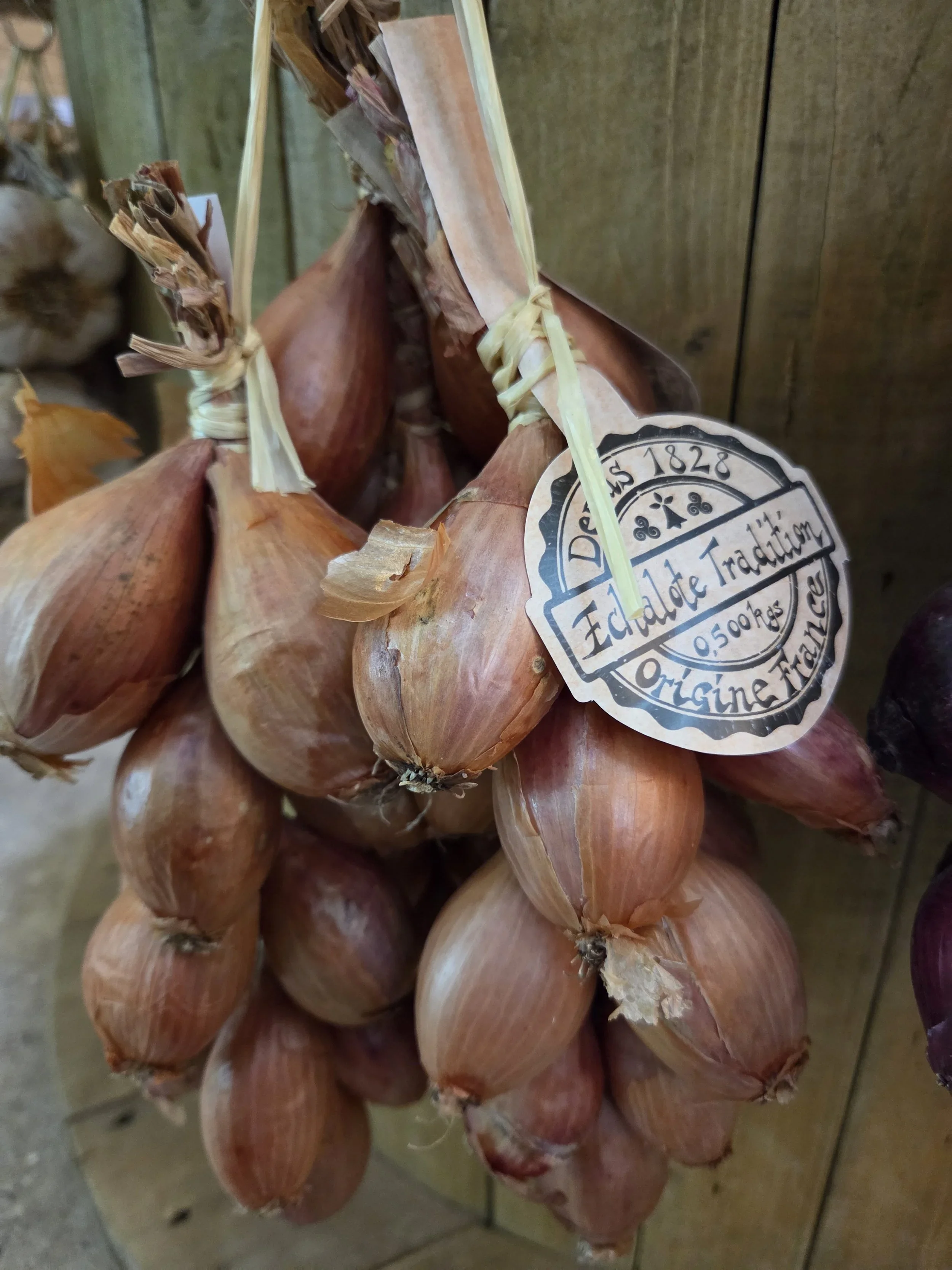 String of Roscoff Shallots