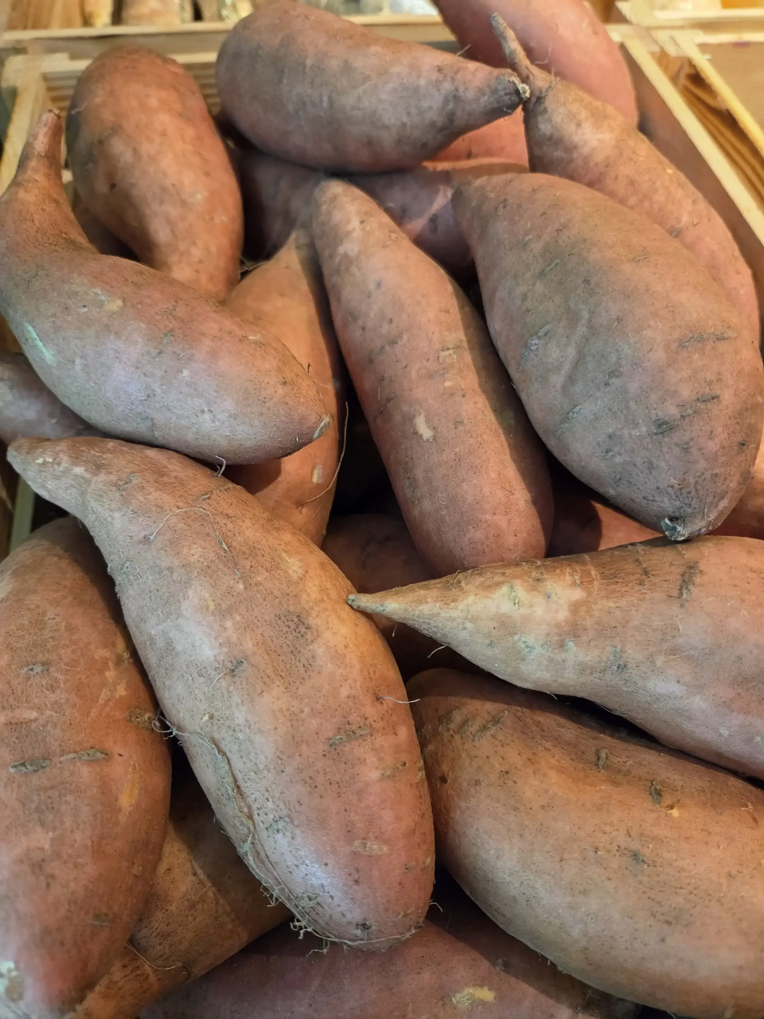 Sweet Potato