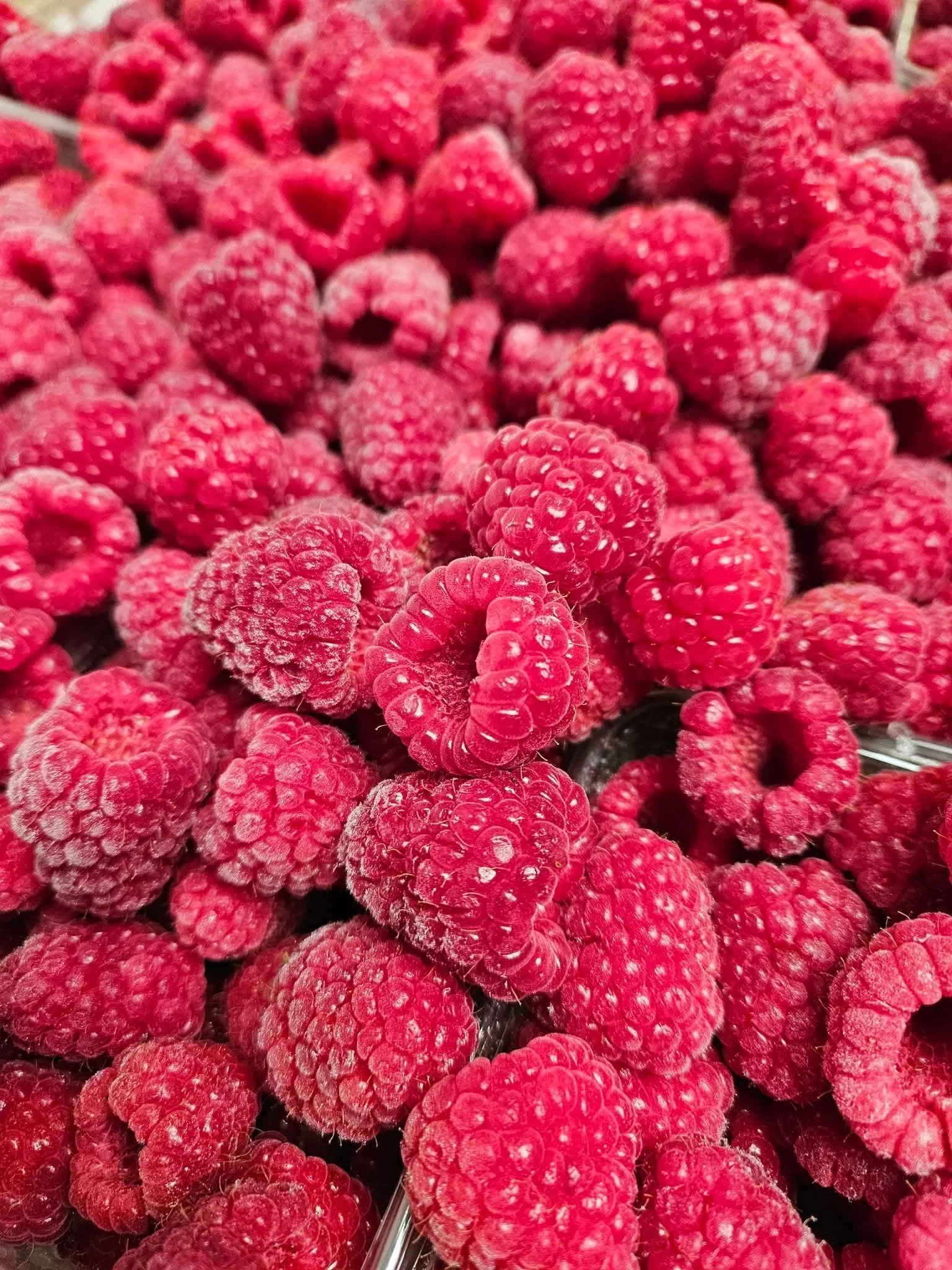 Frozen Raspberries