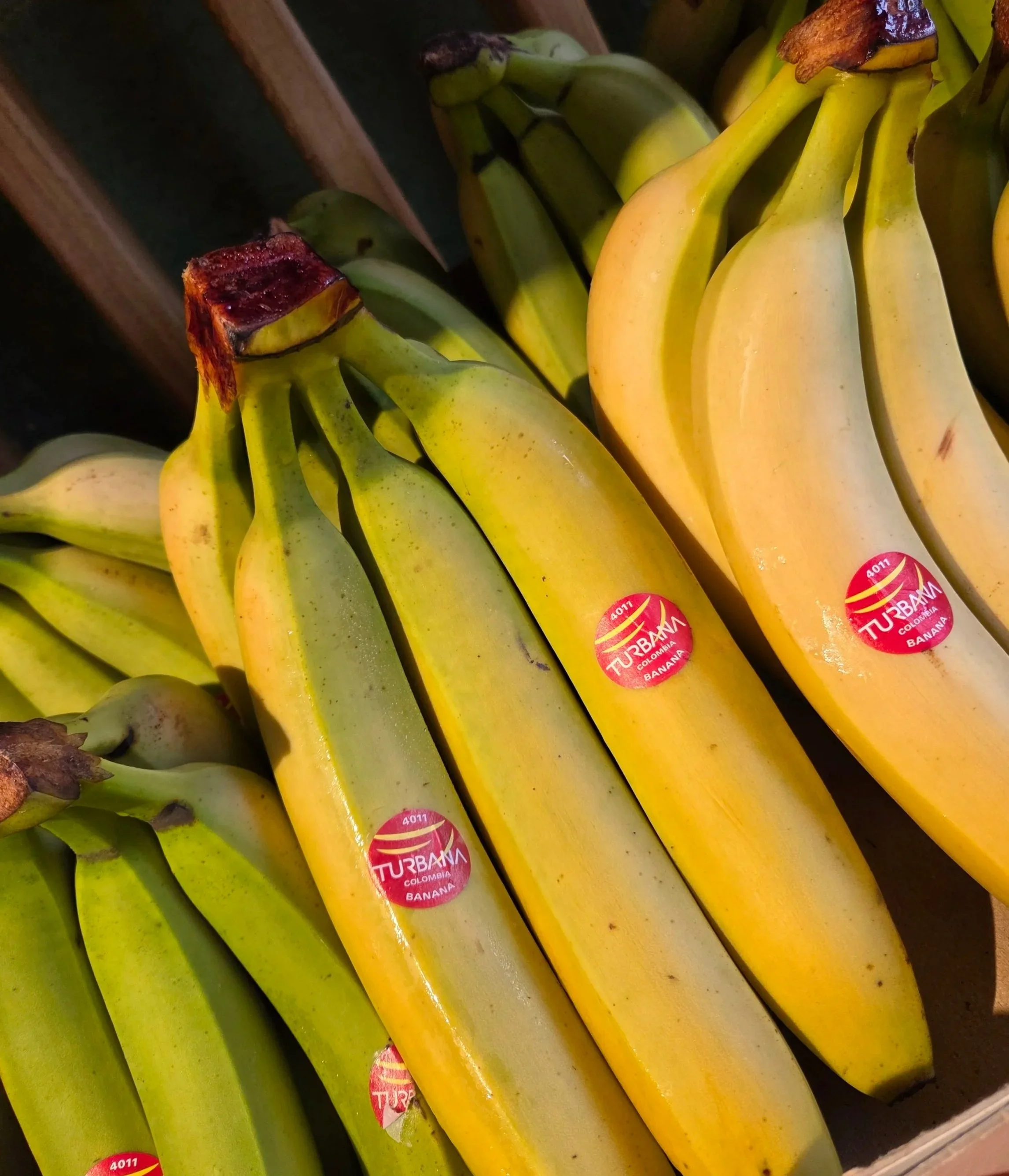 Bananas