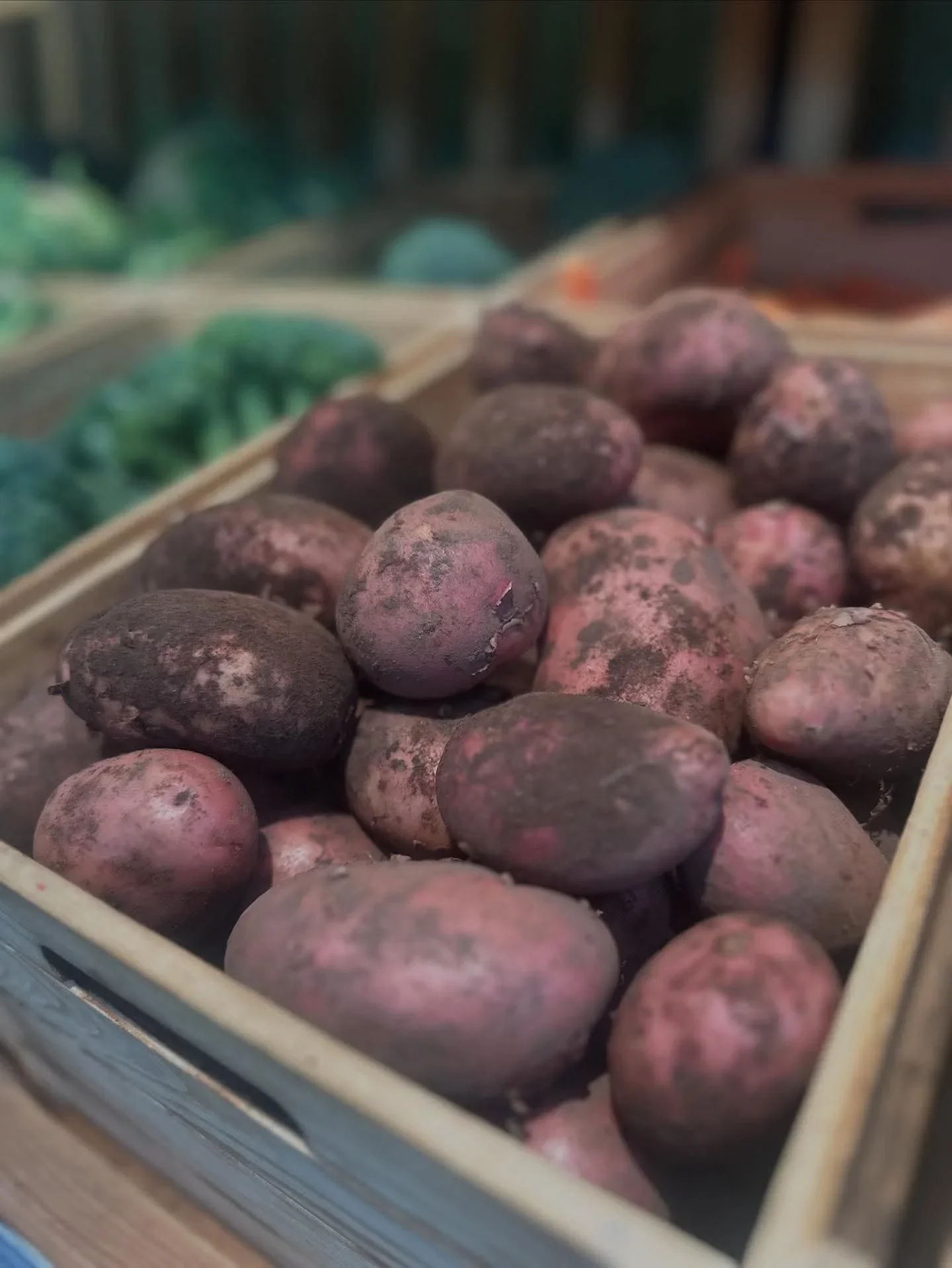 Rooster Potatoes.webp