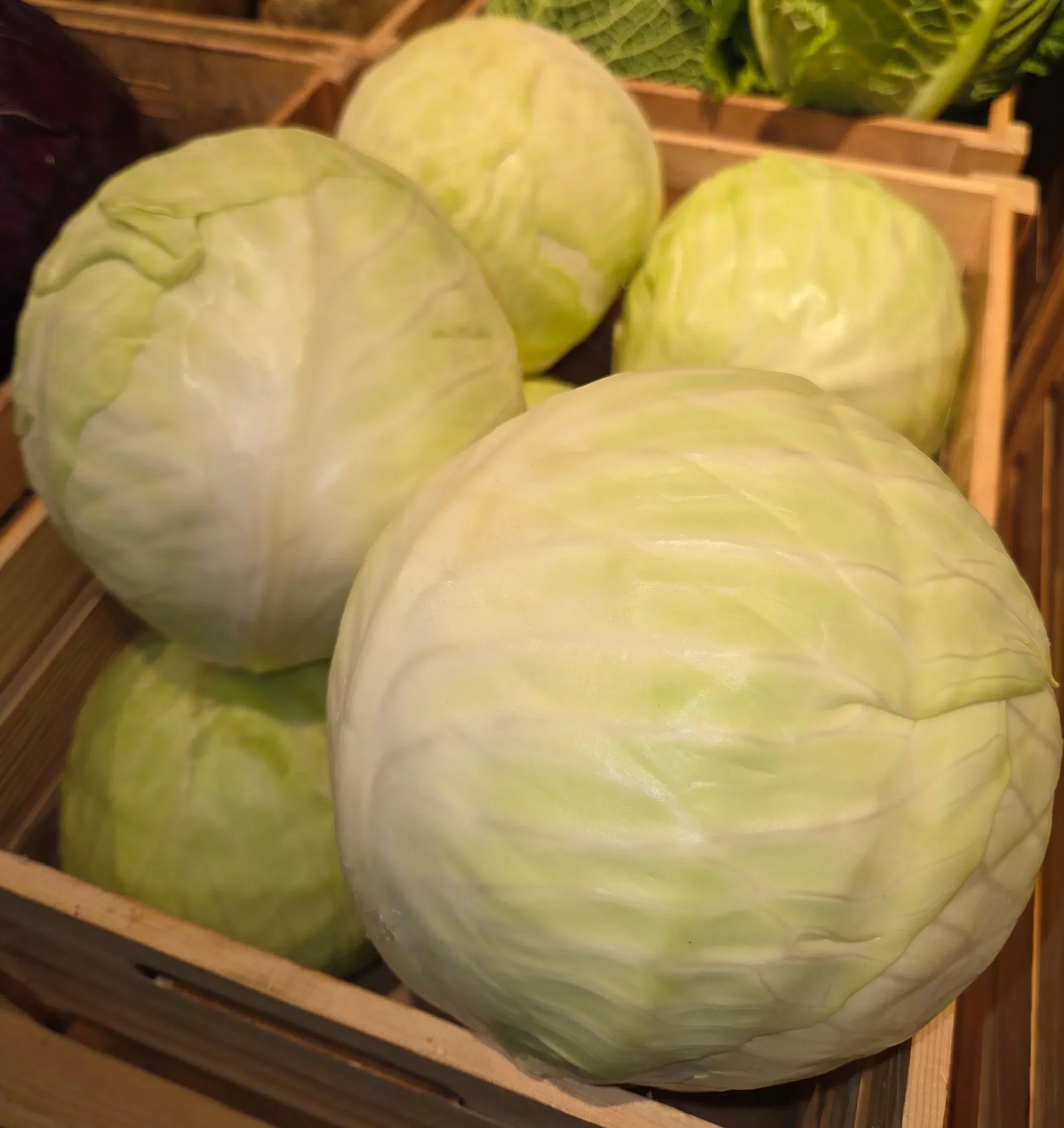 White Cabbage.webp