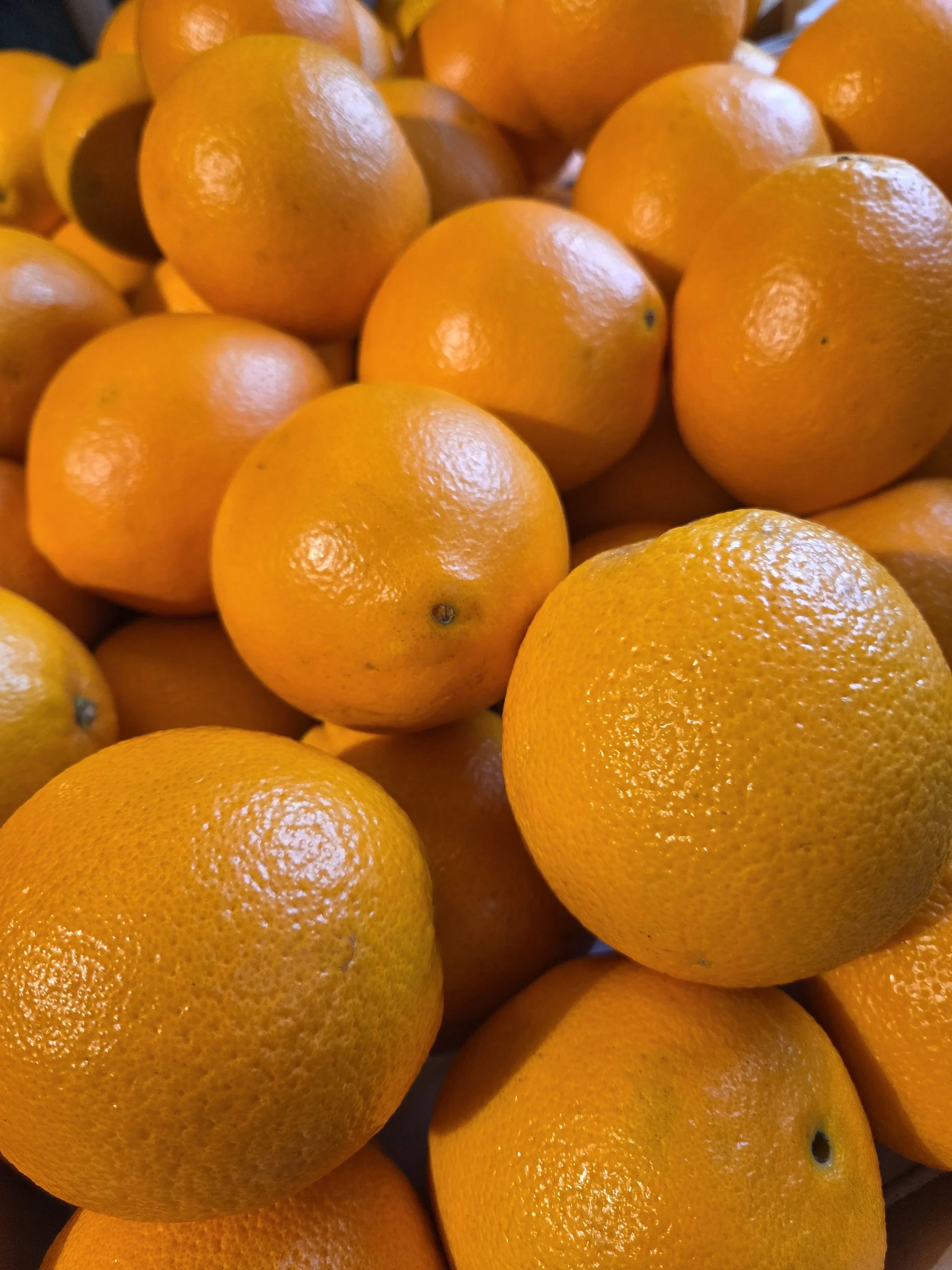 Oranges