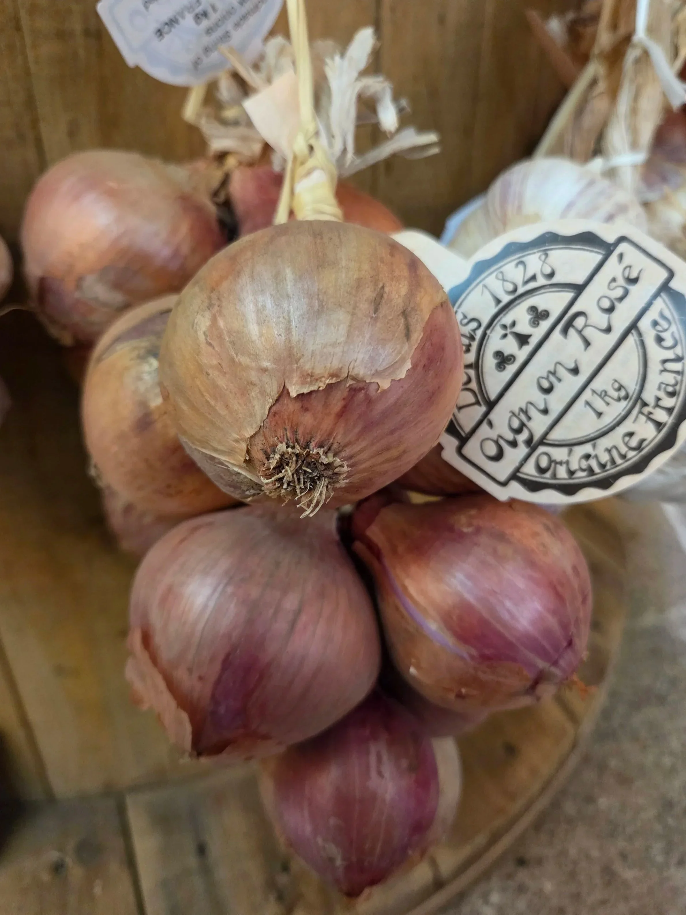 String of Roscoff Onions