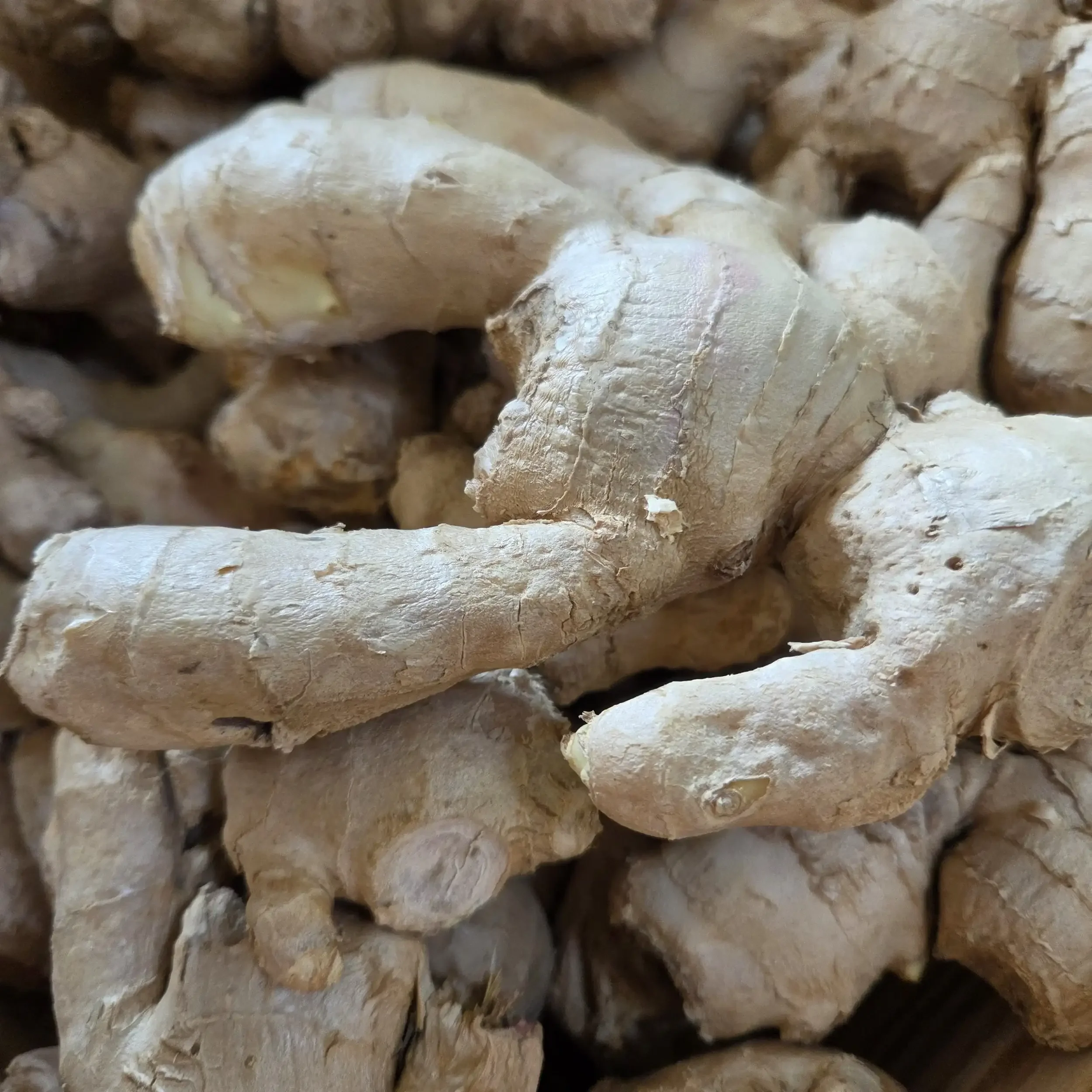 Fresh Ginger