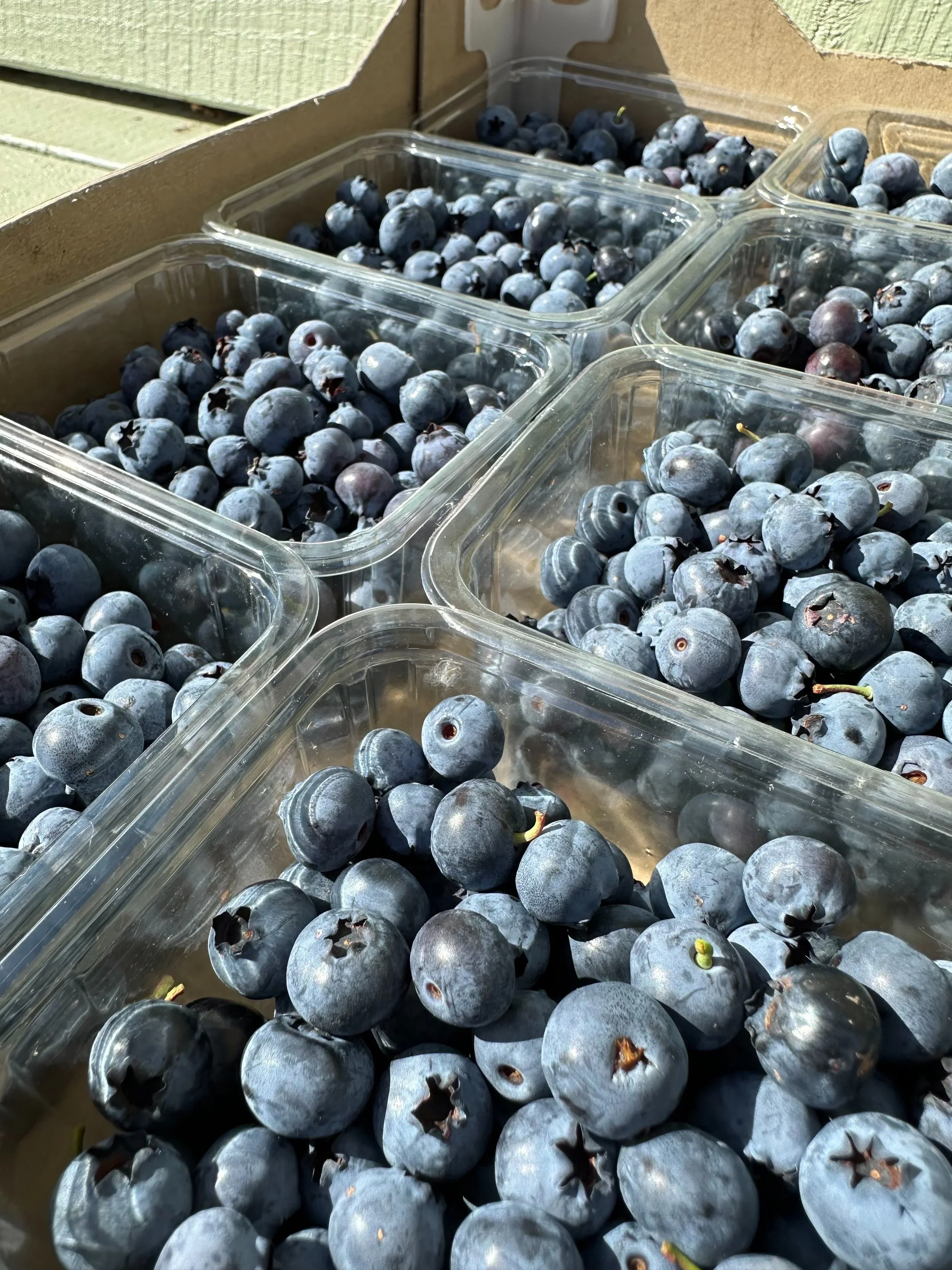 Blueberries (Available Soon)