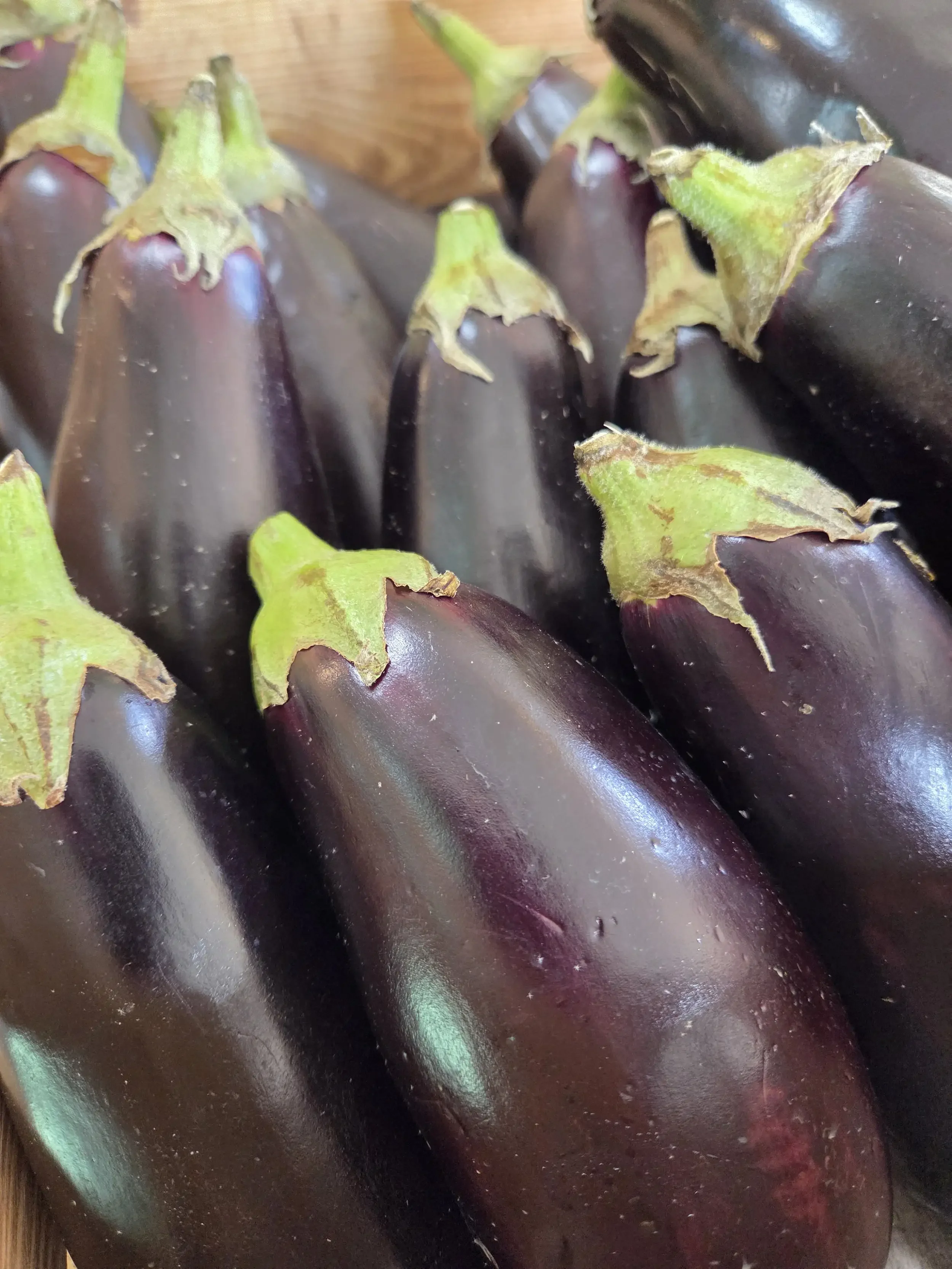 Aubergine
