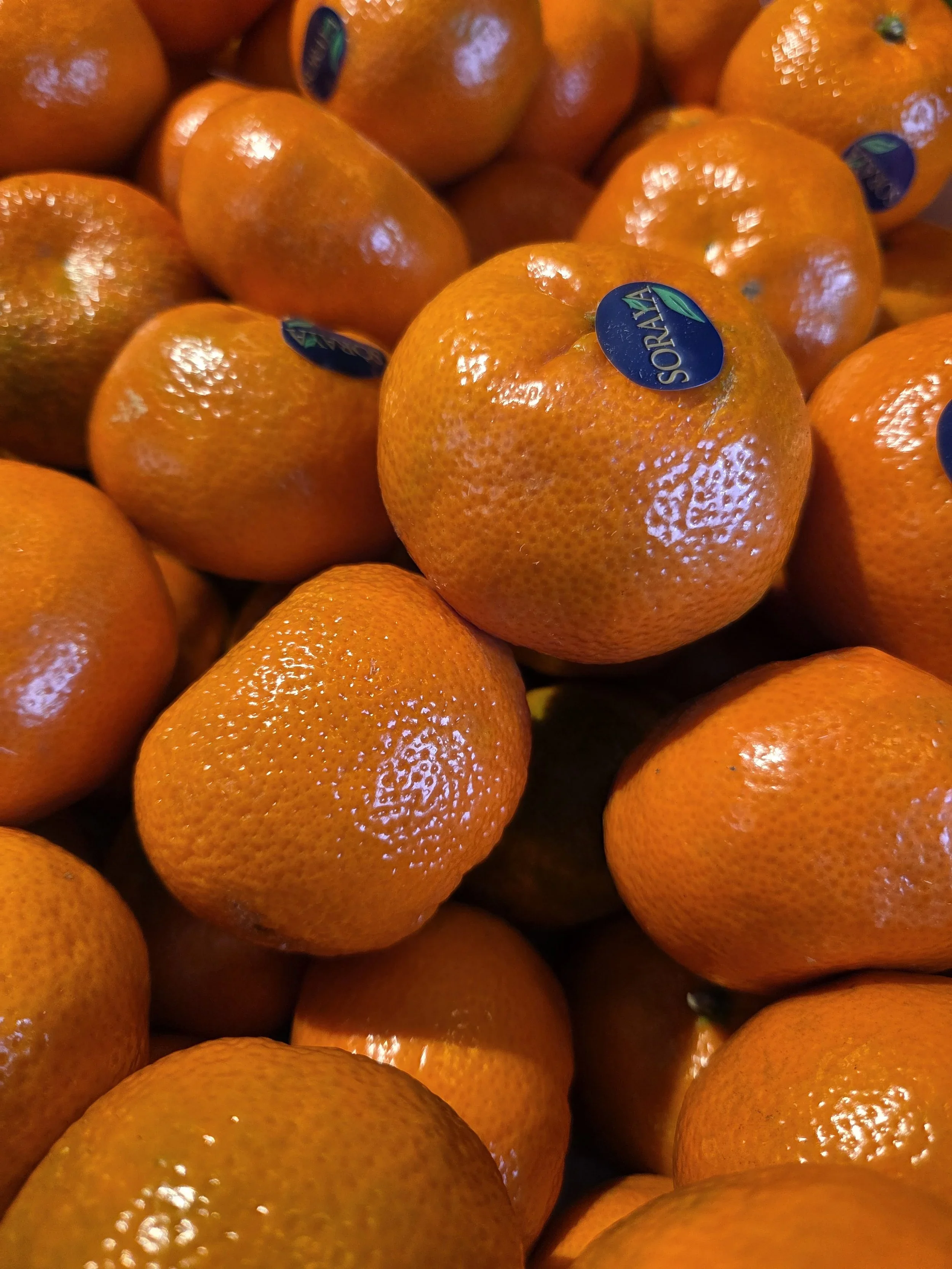 Satsumas