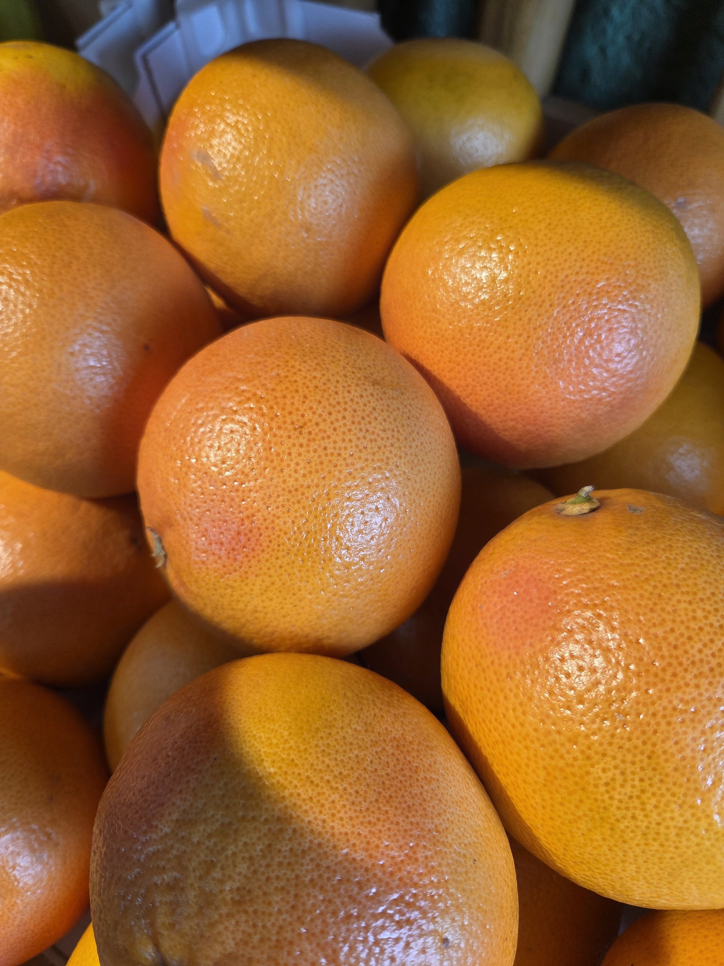 Grapefruit.jpeg