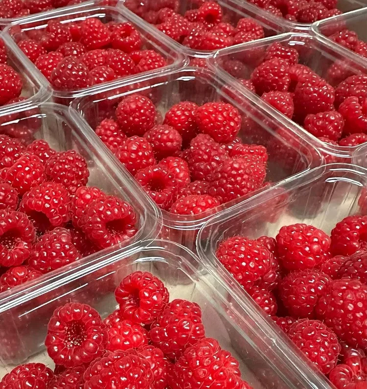 Raspberries