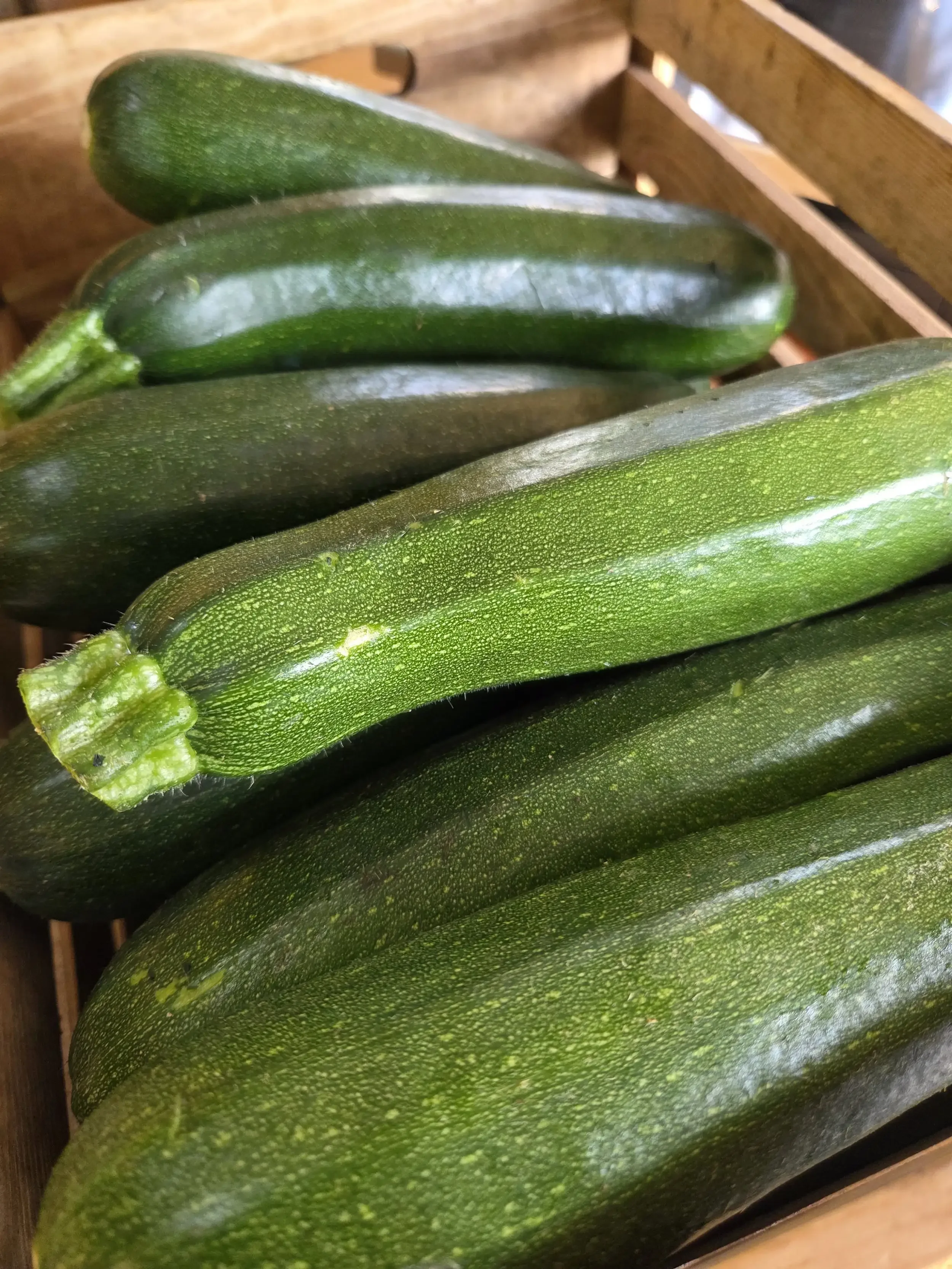 Courgette.webp