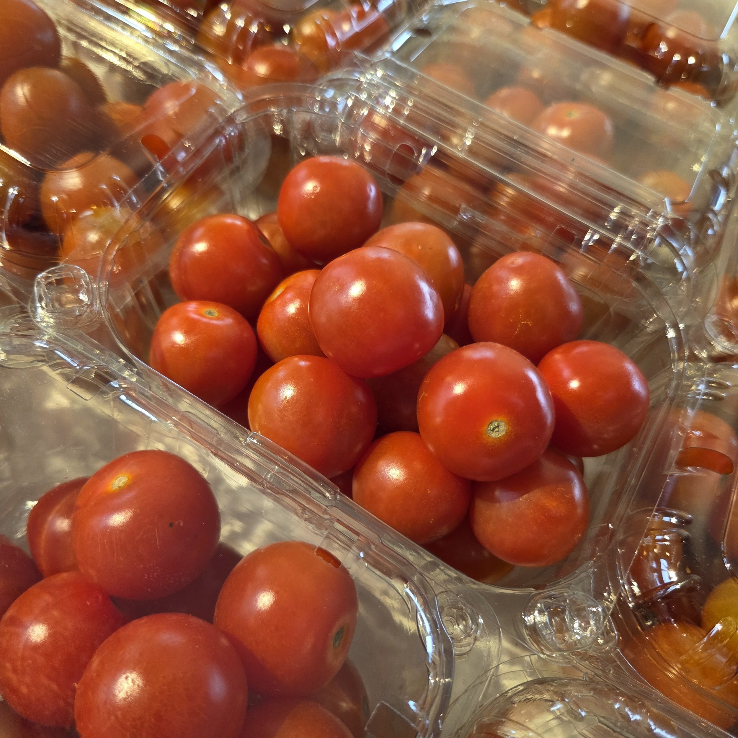 Cherry Tomatoes
