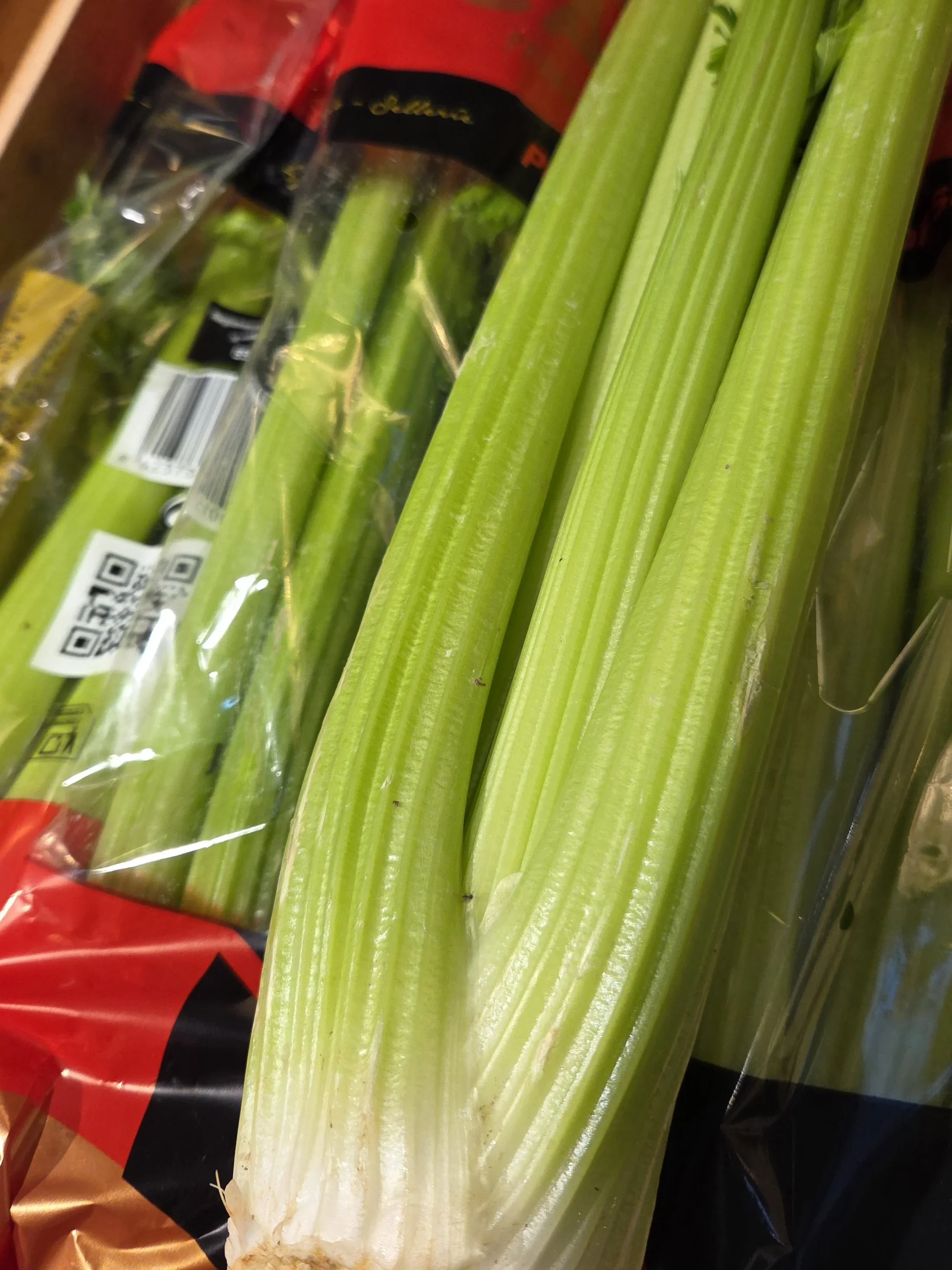 Celery.webp
