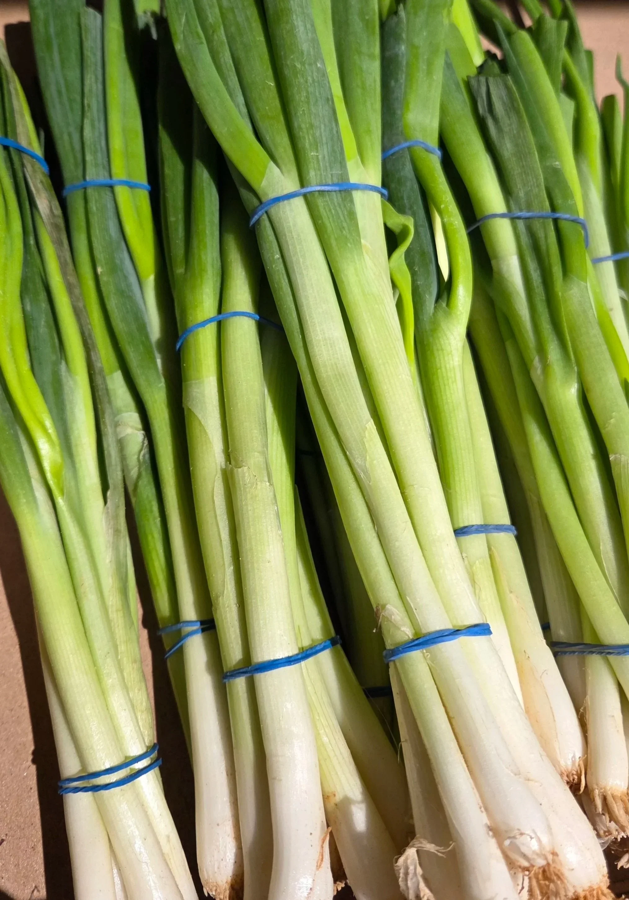 Spring Onions