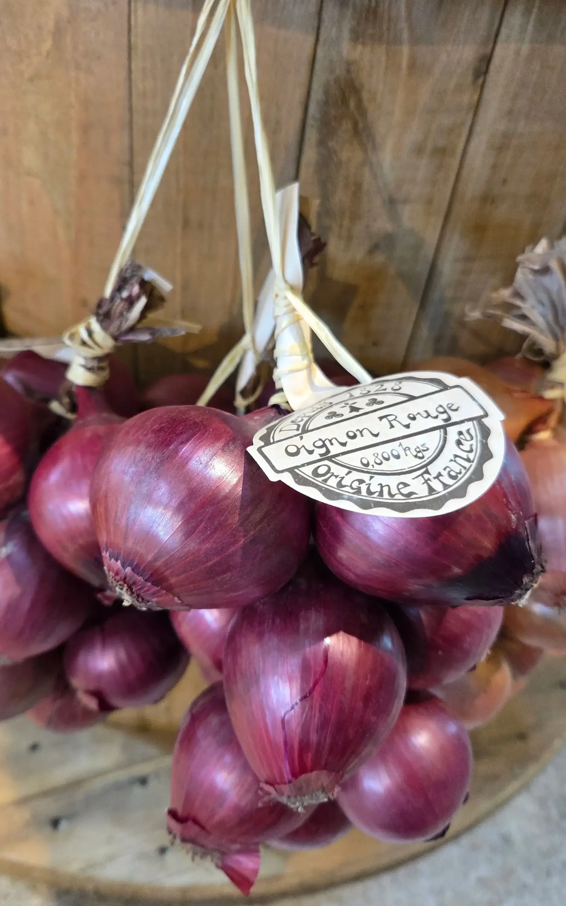 String of Roscoff Red Onions