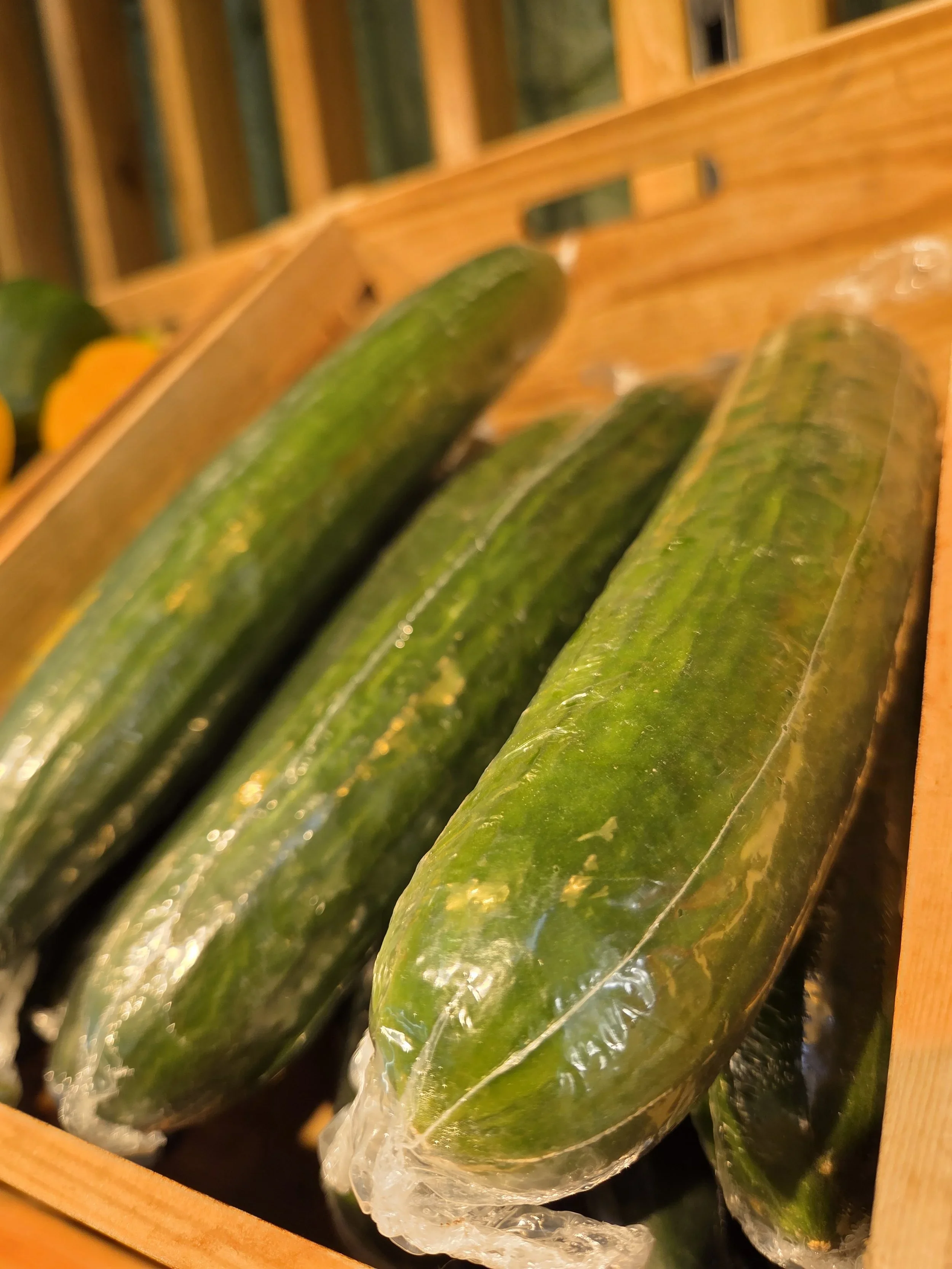 Cucumber