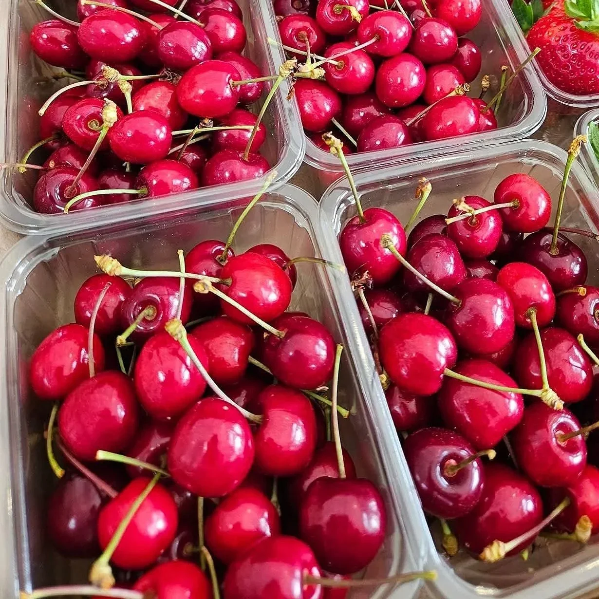 Cherries (Available Soon)