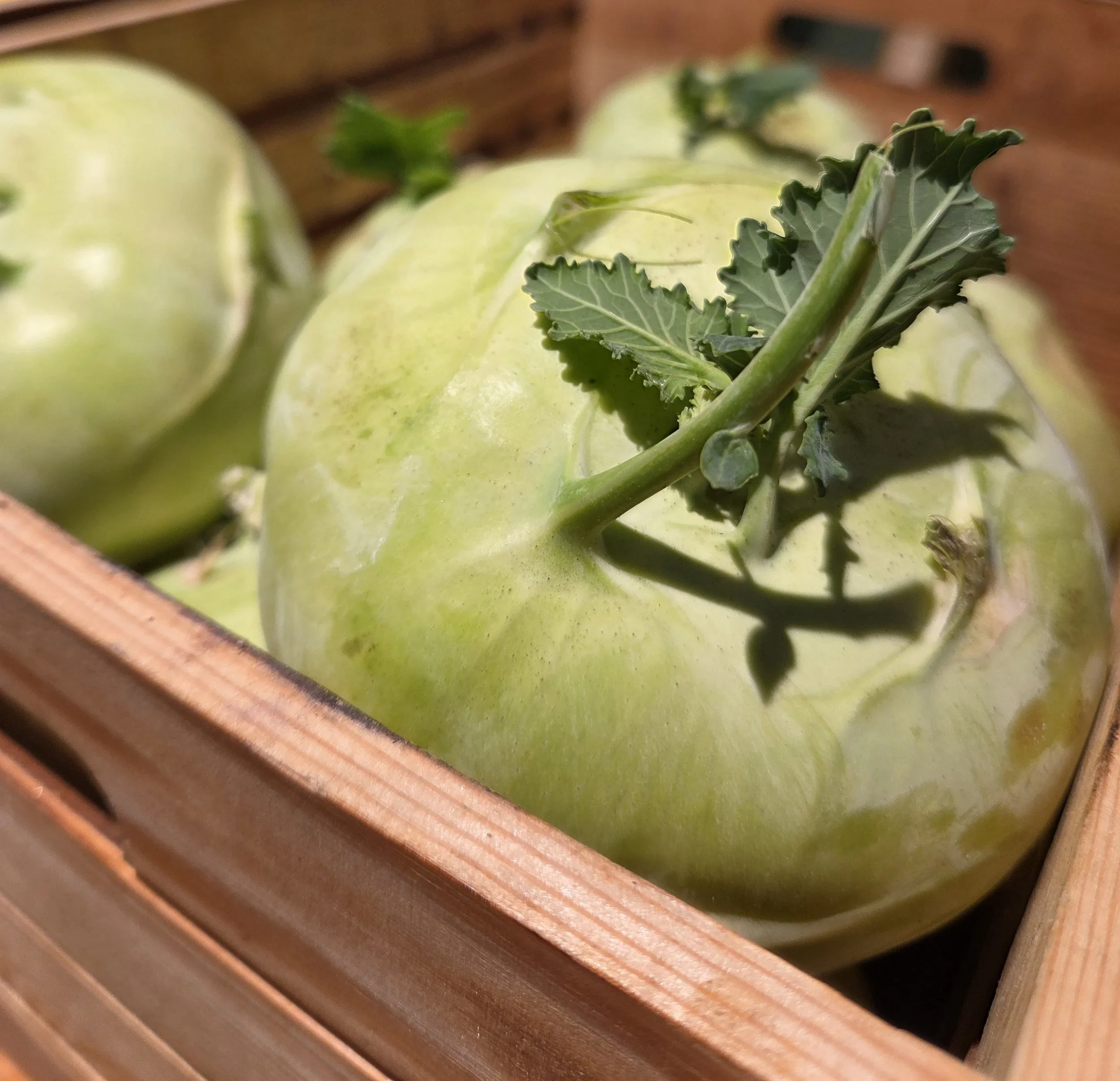 Kohlrabi