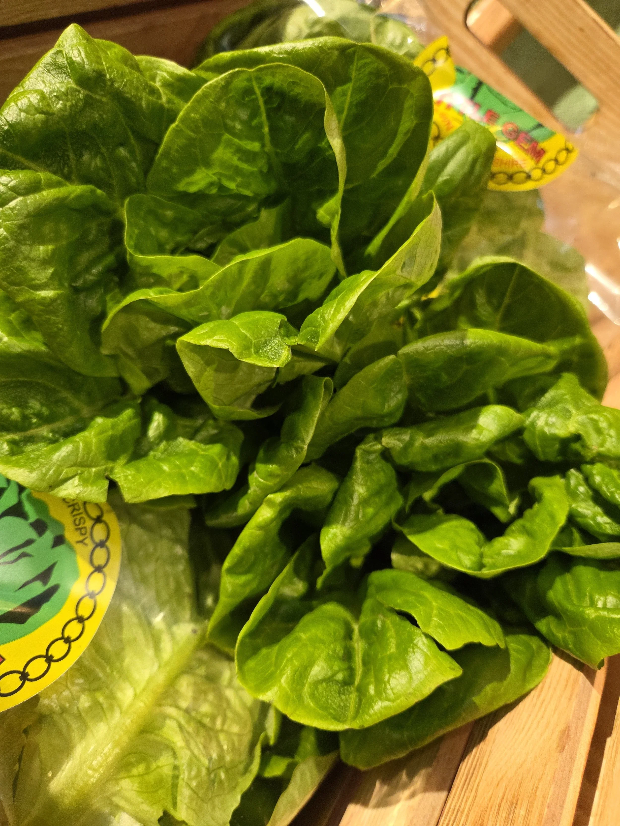 Little Gem Lettuce