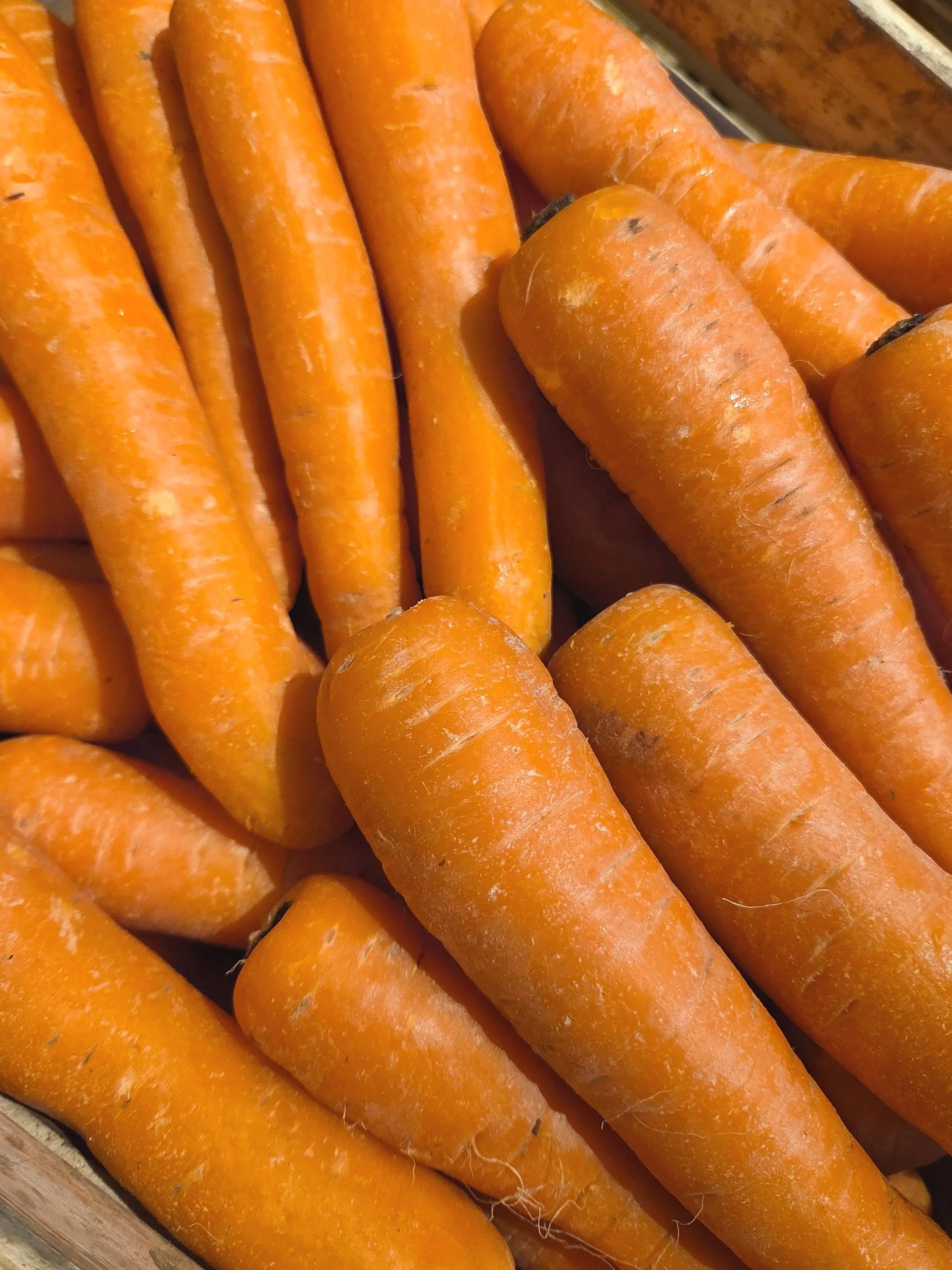 Carrots