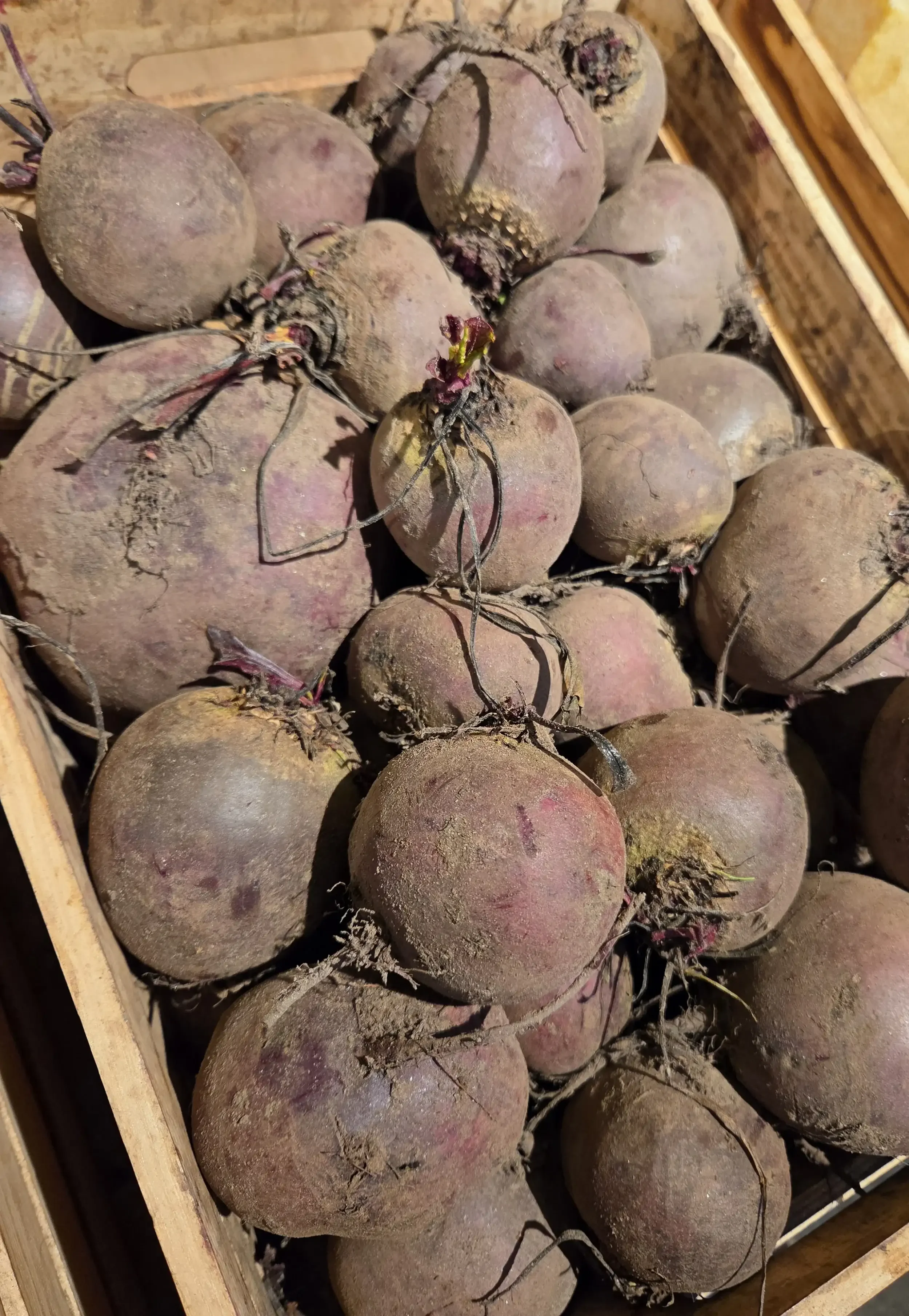 Beetroots.webp