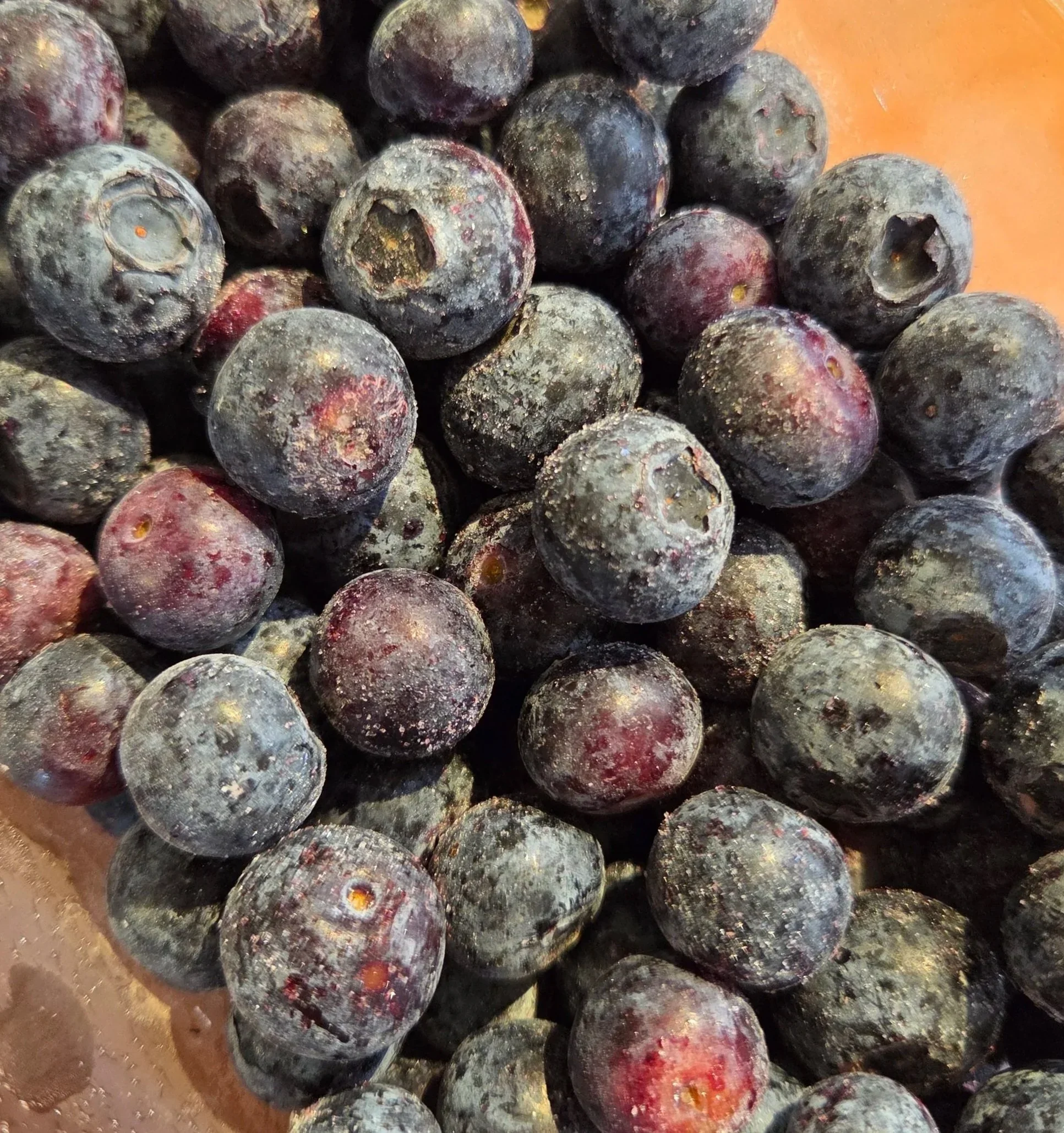 Frozen Blueberries