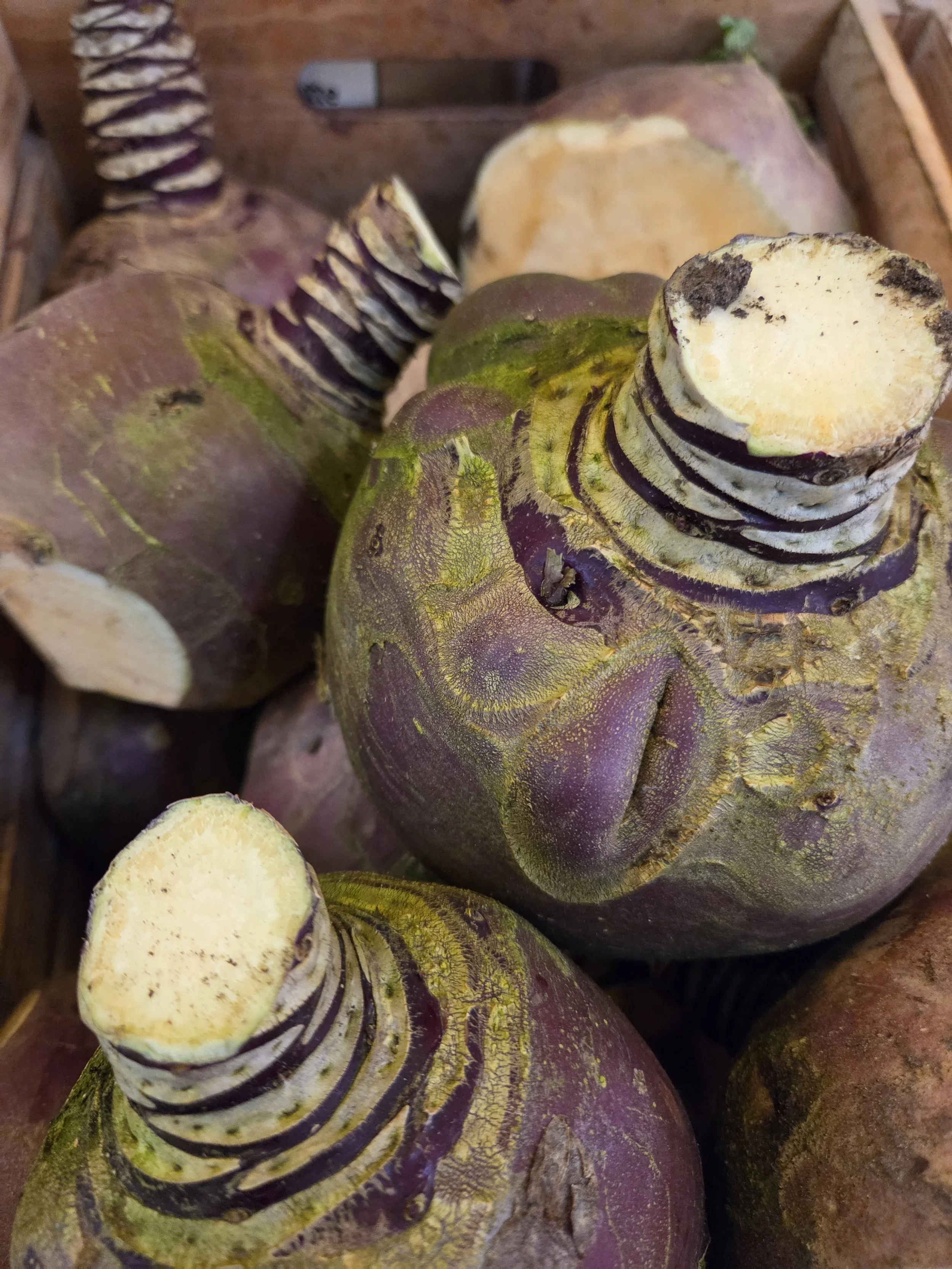 Turnips