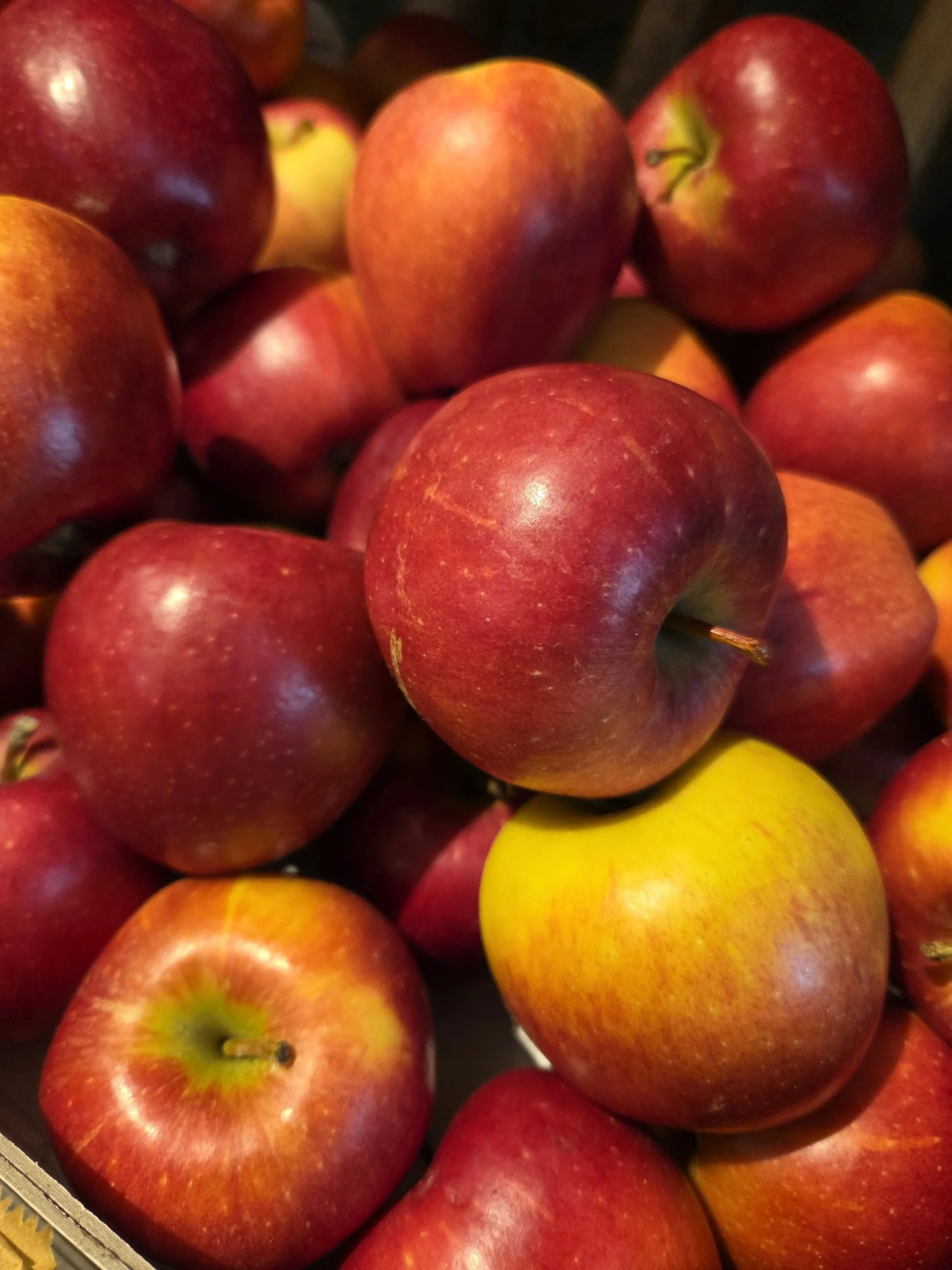 Braeburn Apples