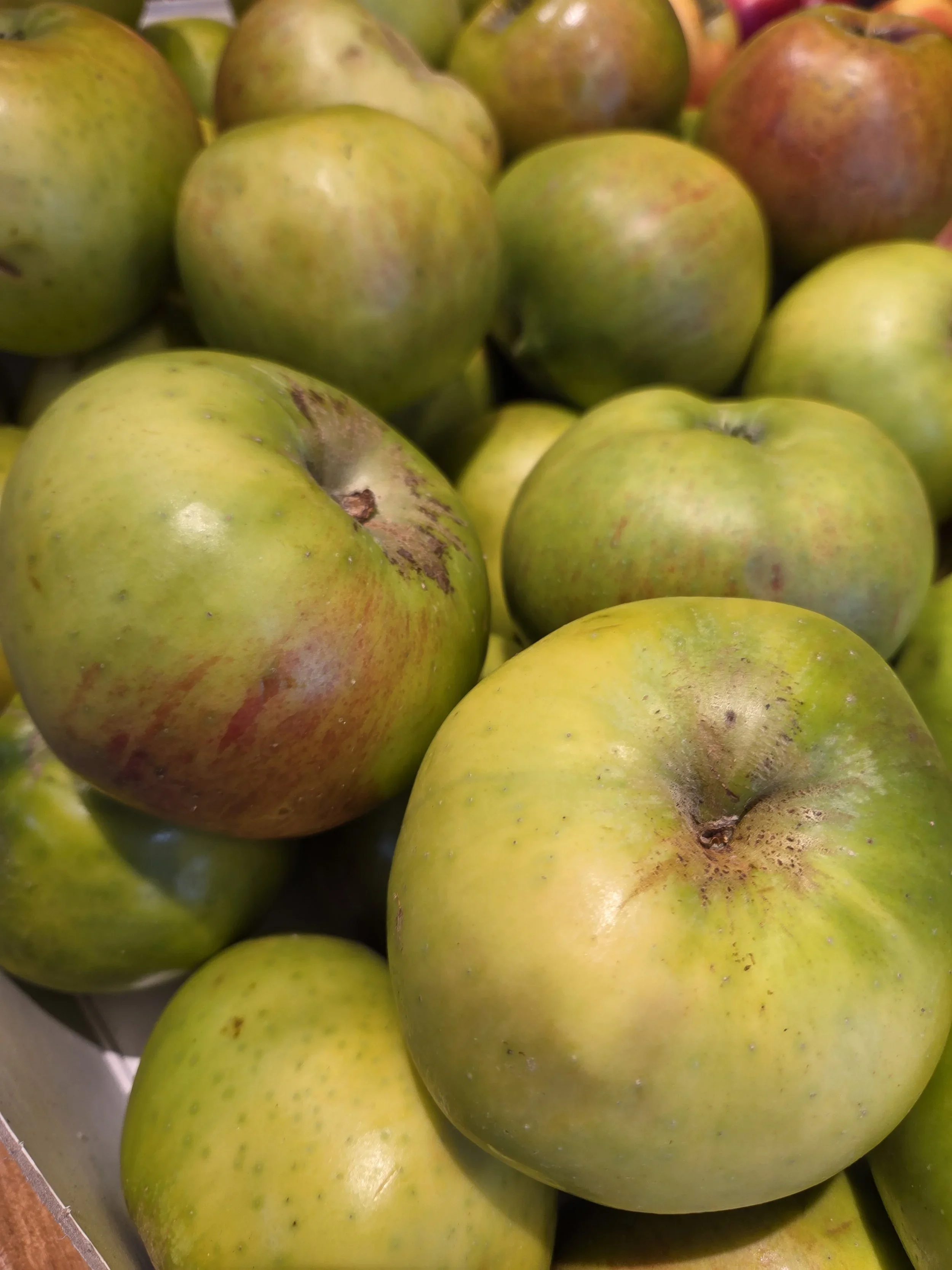 Bramley Apples.webp