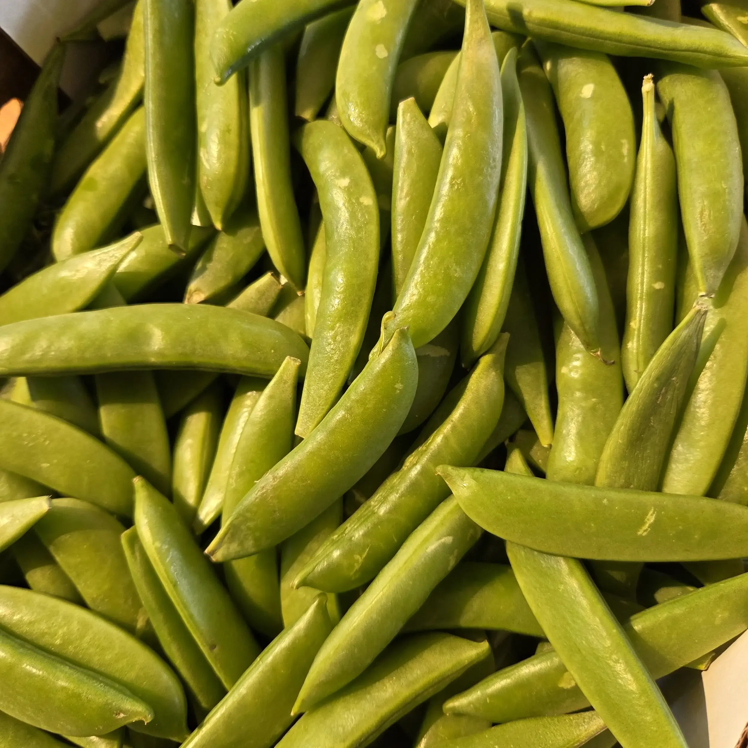 Sugar Snap Peas