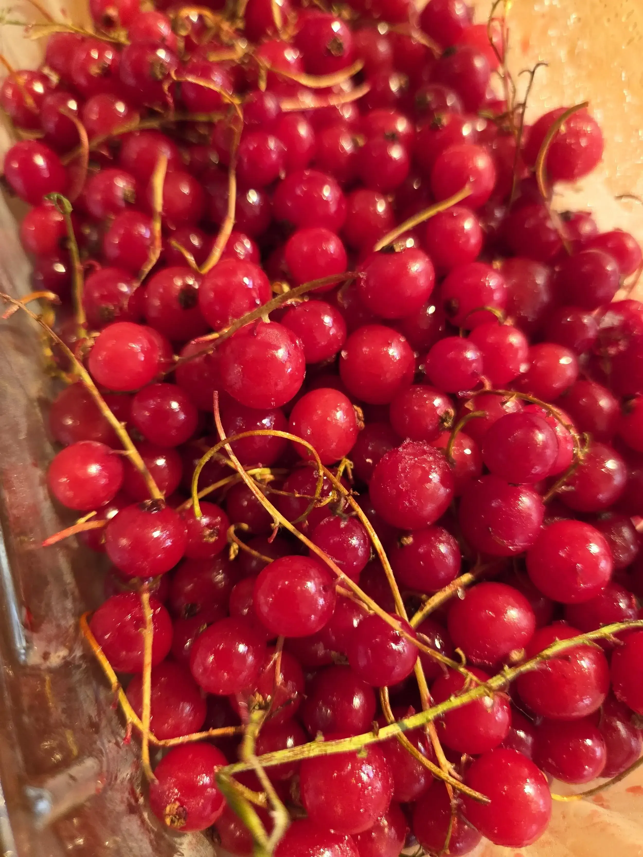 Frozen Redcurrants