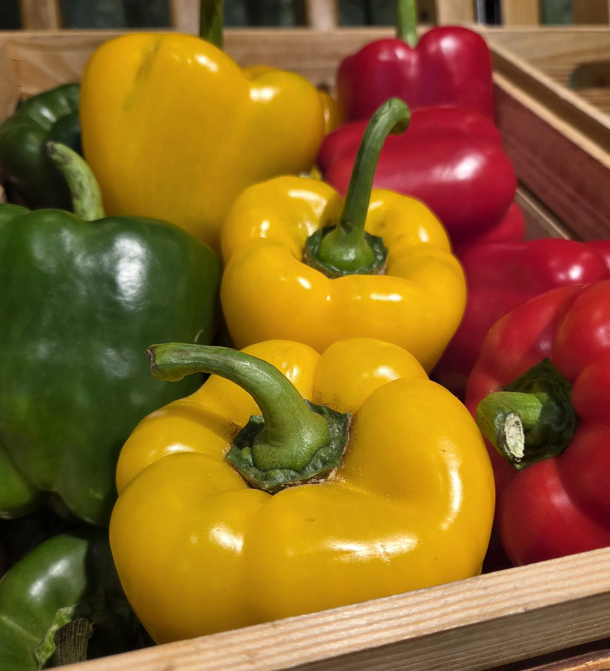 Bell Peppers