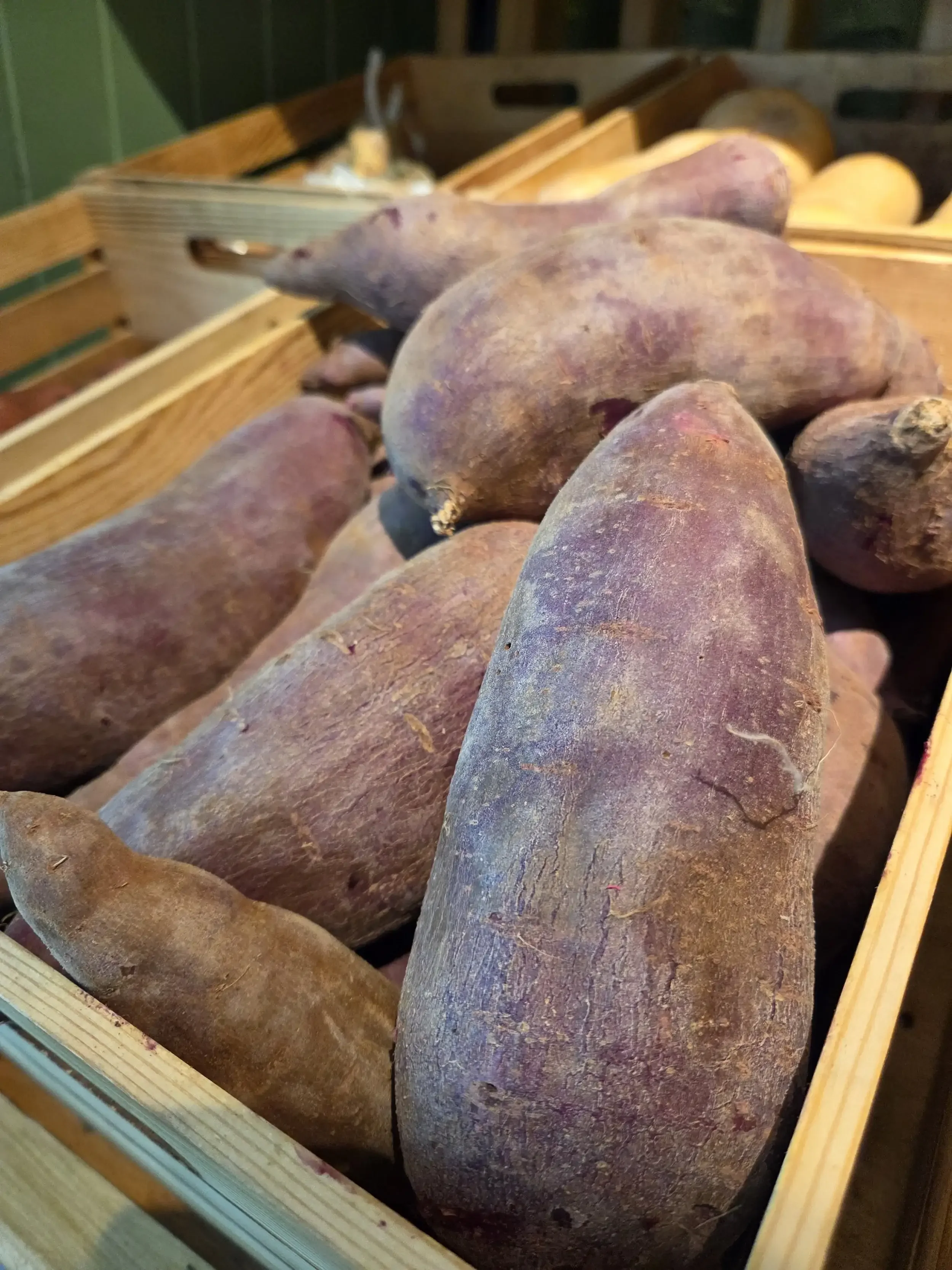 Purple Sweet Potato