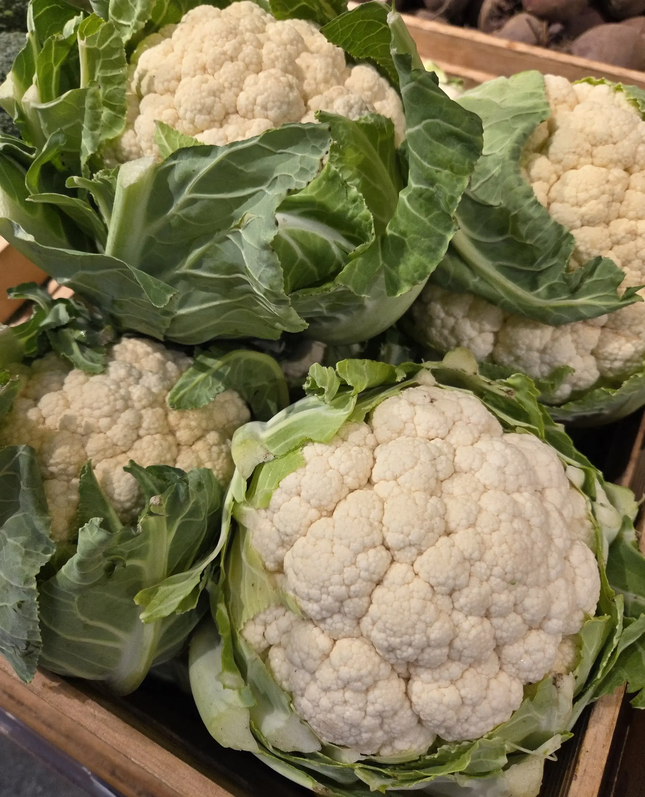 Cauliflower.webp
