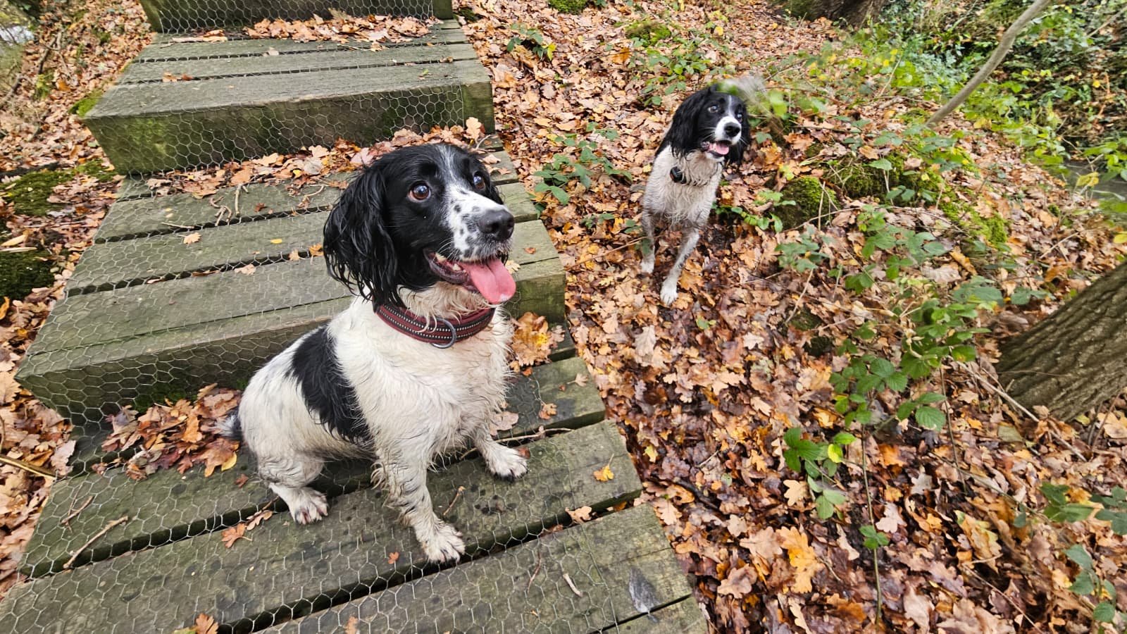 WhatsApp Image 2026-04-06 at 19.53.37.jpeg