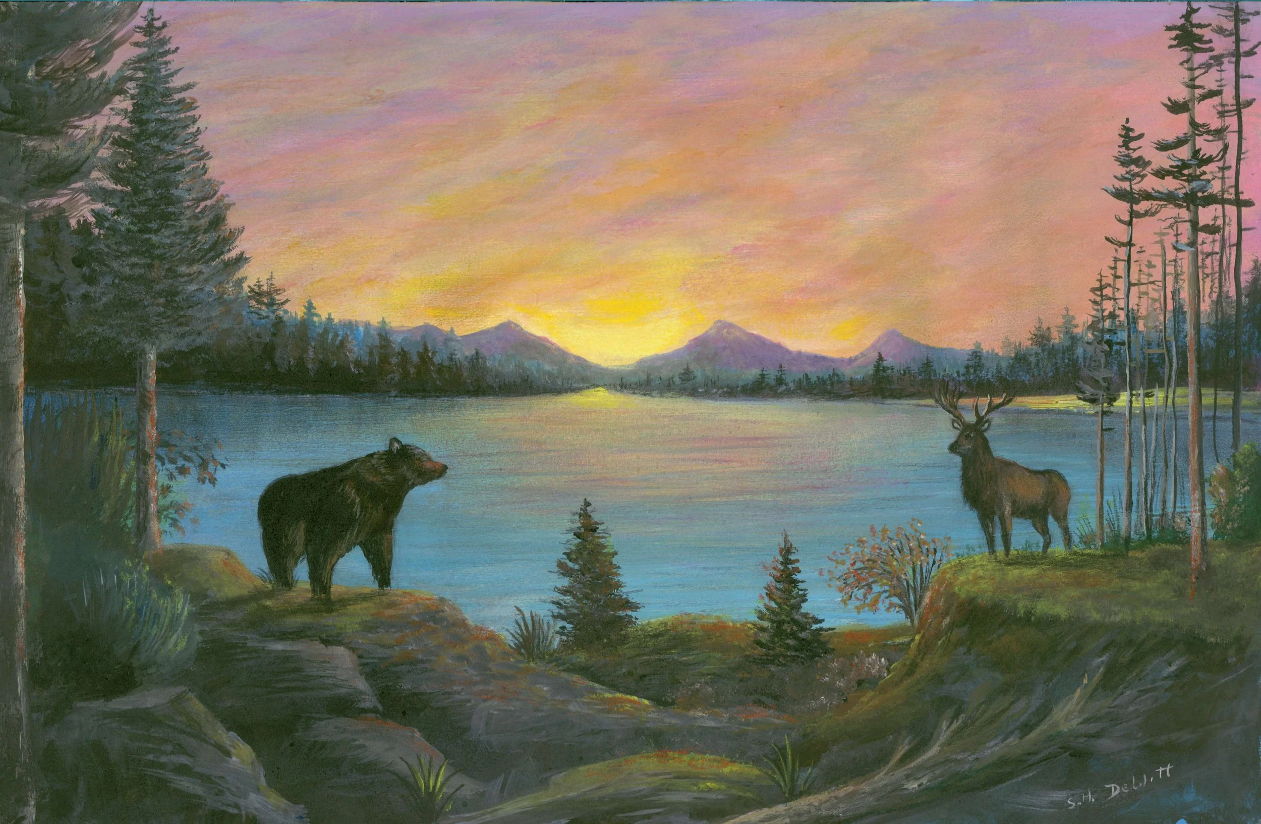 SD BEAR & ELK copy_WEB.jpg